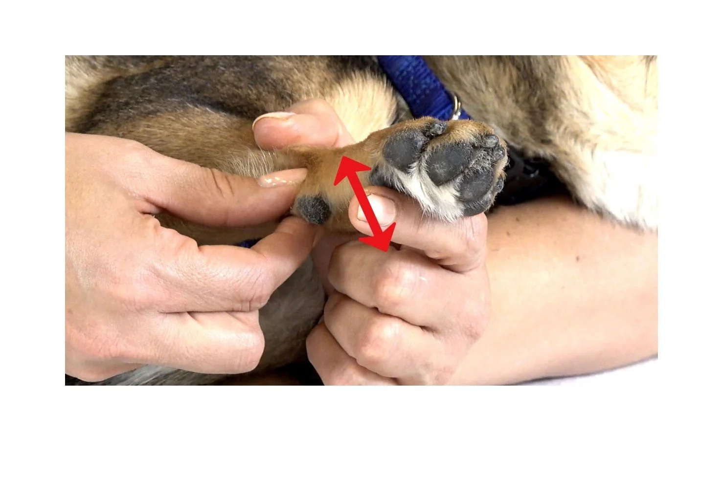 Related Video Item Thumbnail