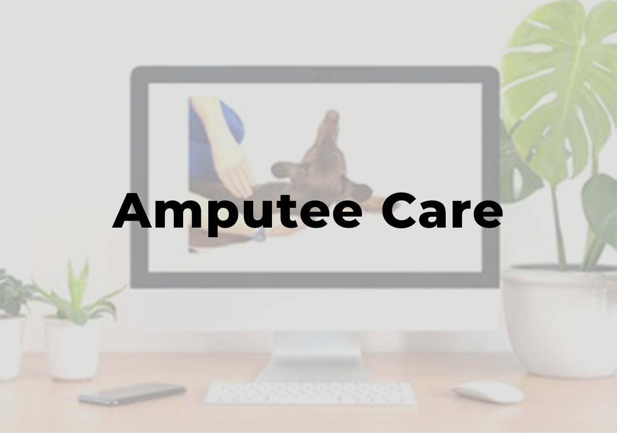 Amputee Care