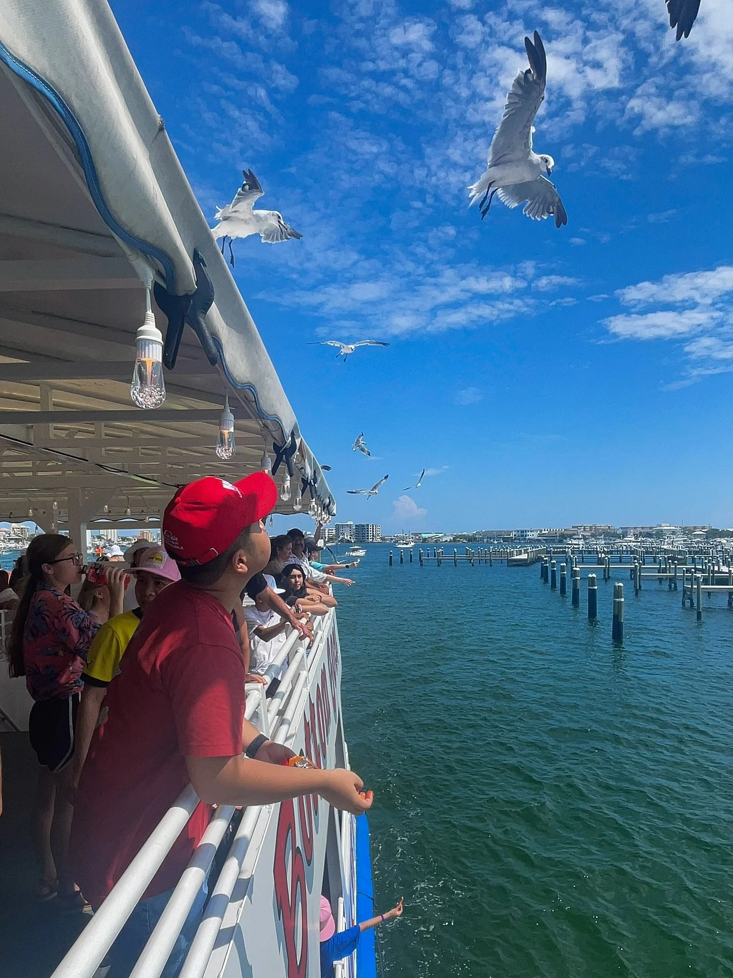🚢🐦 These Cheetos-lovers take their job of guarding our Dolphin Cruise guests very seriously&mdash;and all they ask in return is their favorite snack! 🧀🍽️

😎🤙🏻🌊 No worries, we&rsquo;ve got plenty of @Cheetos stocked aboard the Boogies Glass Bo