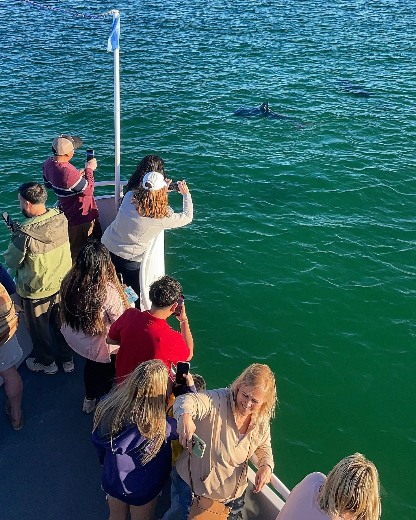 📸 Selfies, portraits, and close-ups with dolphins — the photo ops are endless on Boogies Glass Bottom Boat when you encounter marine life! 🐬✨
🤷🏻‍♂️ Who would’ve thought that a beach experience could be more than just basking in t