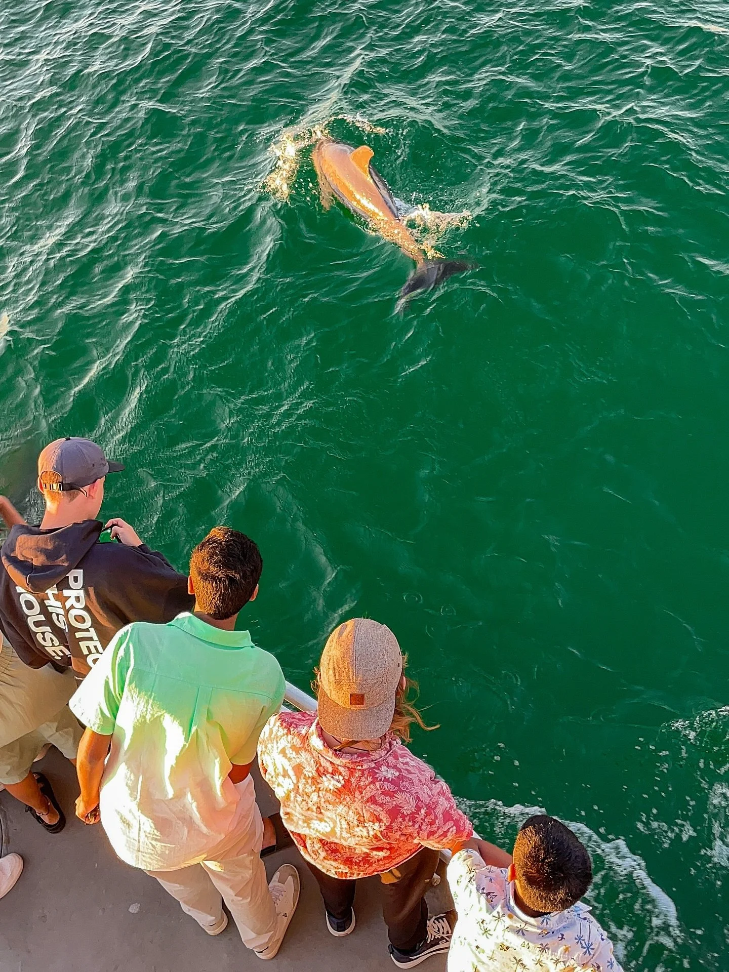 🐬👀🚢 When dolphins swim this close, it’s hard to tell who’s more curious — them or us!
😍😍😍 Boogies Glass Bottom Boat gives you the perfect view during the entire experience. 
😎🤙🏻🌊 Every trip feels like a new adventur