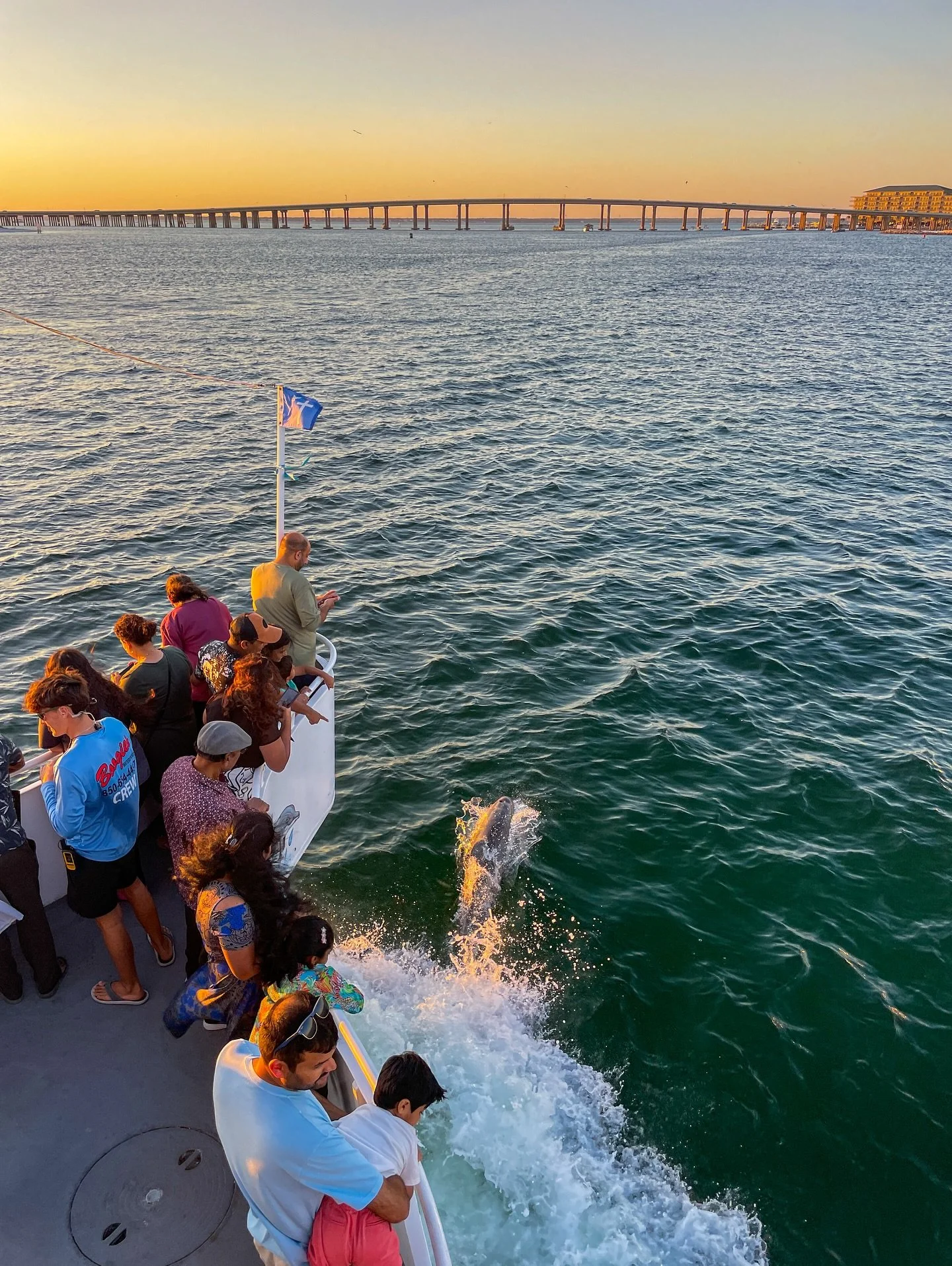 🐬👀🚢 Saw a dolphin? Great! Don&rsquo;t keep it to yourself.

🫵🏻 Point it out, cheer, and share that excitement with your fellow adventurers &mdash; we&rsquo;re all on the same mission to spot them all!

😎🤙🏻🌊 Let&rsquo;s make every sighting a 