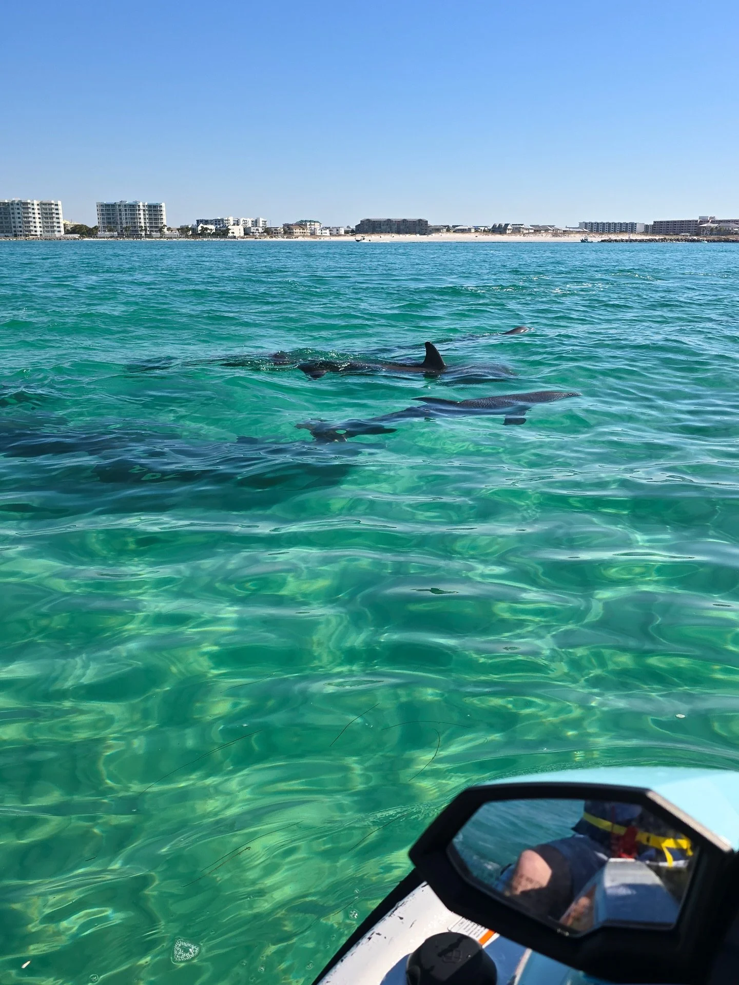 🐬🐬🐬 Boogies Jet Ski Dolphin Tour is our signature guided WaveRunner experience and a must-try activity in Destin this year.

📍🦀🏝️ Located right at the end of @HWVDestin, our PWC fleet gives you the closest jet ski access to @Crab_Island in Dest
