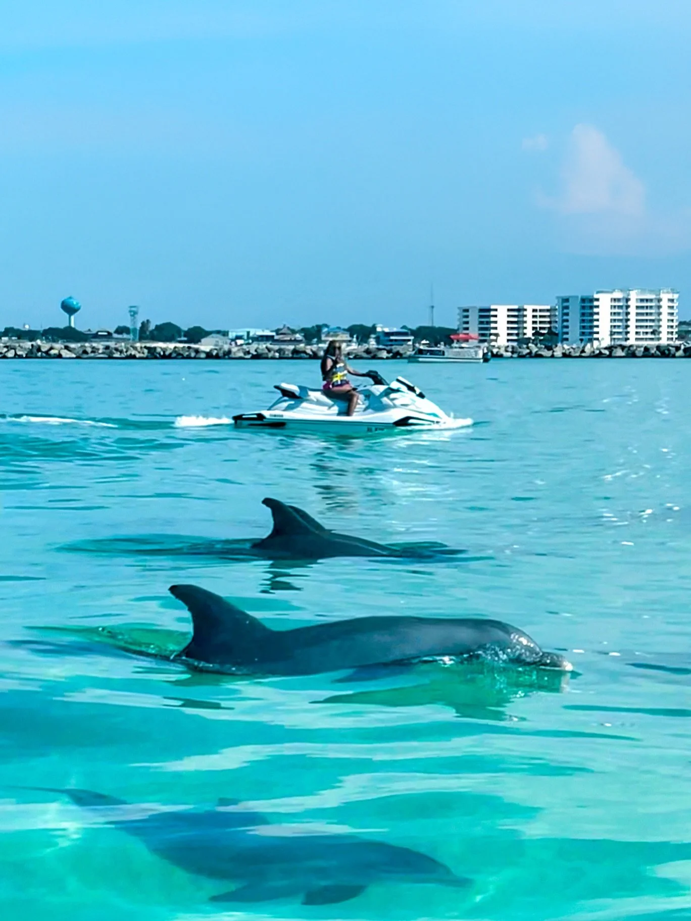 🐬🐬🐬 3 dolphins > everything else

🌐 Book Online: link in bio
📞 Call to Book: (850) 654-4497
📩 DM us for more info

#BoogiesWatersports #DestinFlorida #DestinHarbor #JetSkiTour #SpringBreak2026