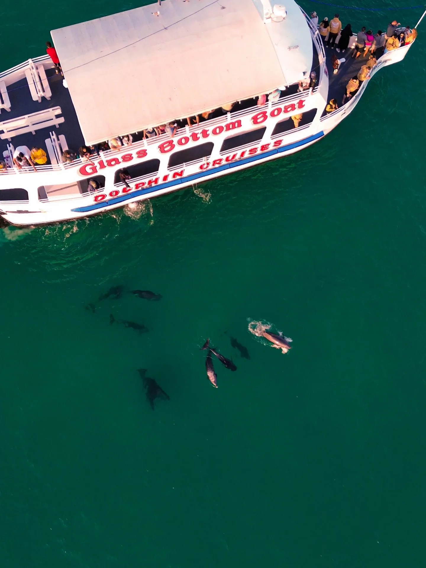 🤗🏆✨ And just like that&hellip; we&rsquo;ve got our winner

👥👥👥 The correct number is 149 people max allowed aboard the Boogies Glass Bottom Boat at a time &mdash; yeah, it&rsquo;s a big one

🚢🐬💦 Big shoutout to Michael Bradford from Facebook 