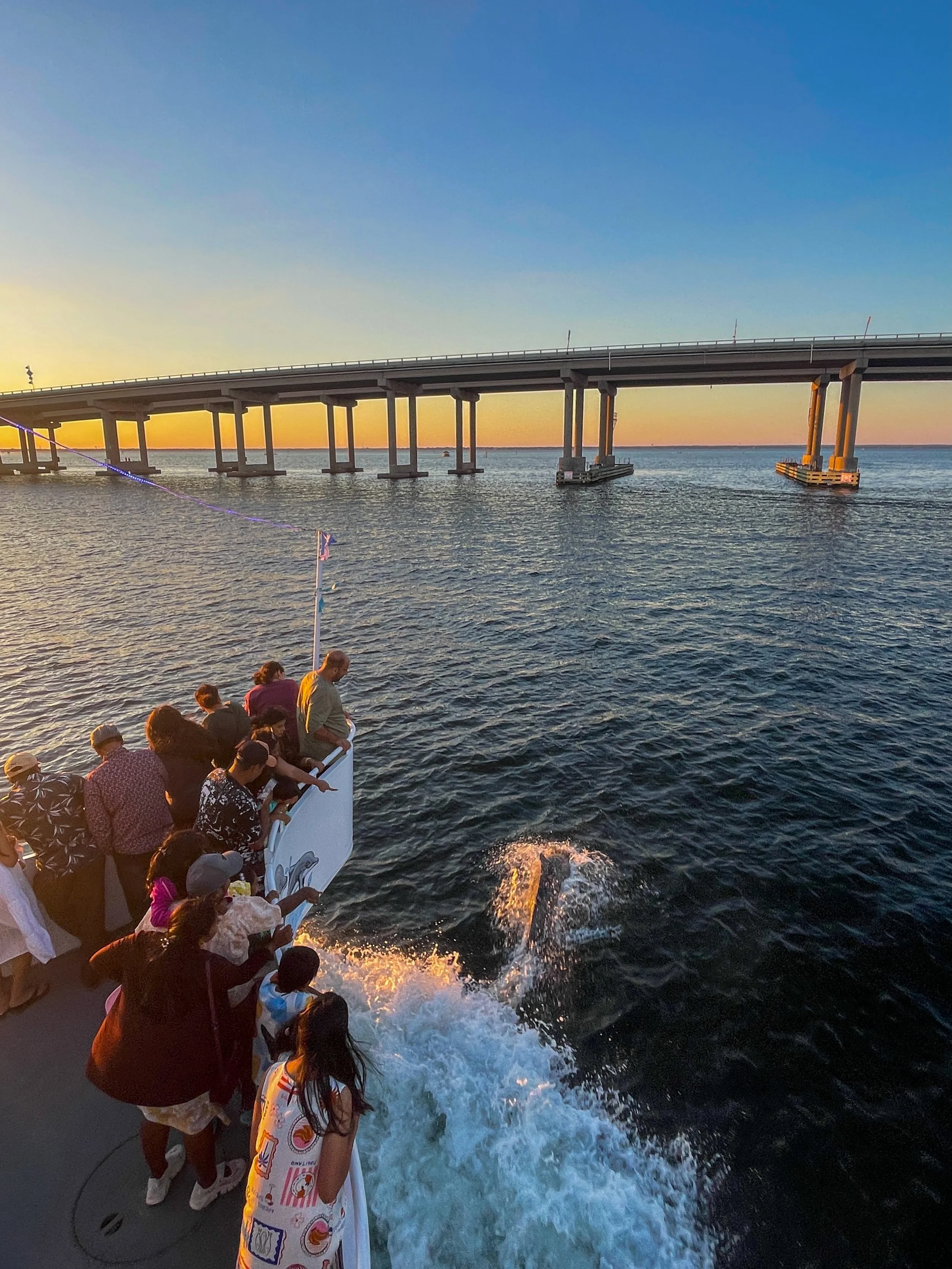 🚢🐬🌅 There&rsquo;s something about watching the sun dip below the horizon with the ones you love most; Dolphins in the distance, laughter in the air&mdash;it&rsquo;s the perfect way to end the day with the family.

📍 Find us @HWVDestin

🌐 Book On