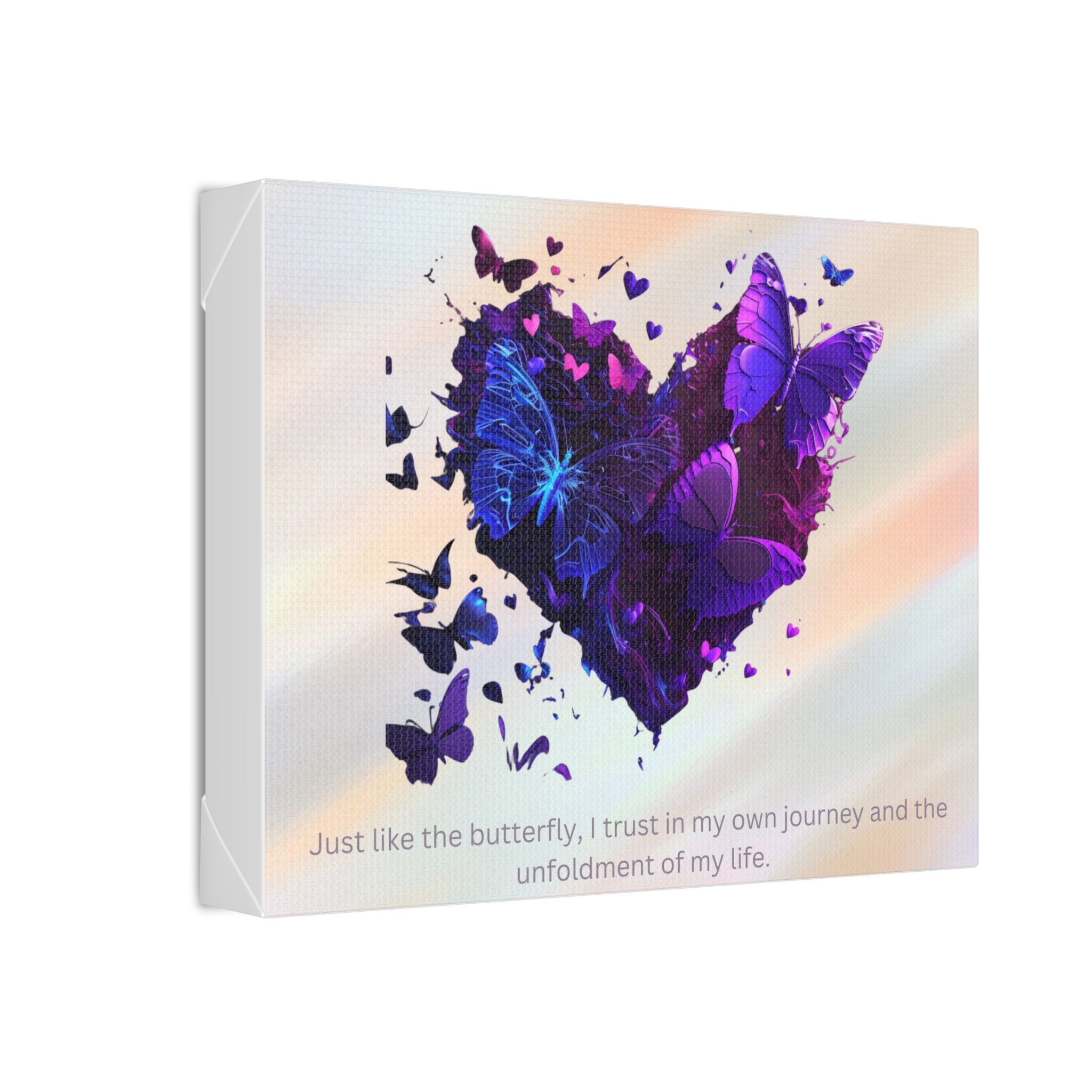 butterfly and heart canvas 2.jpeg