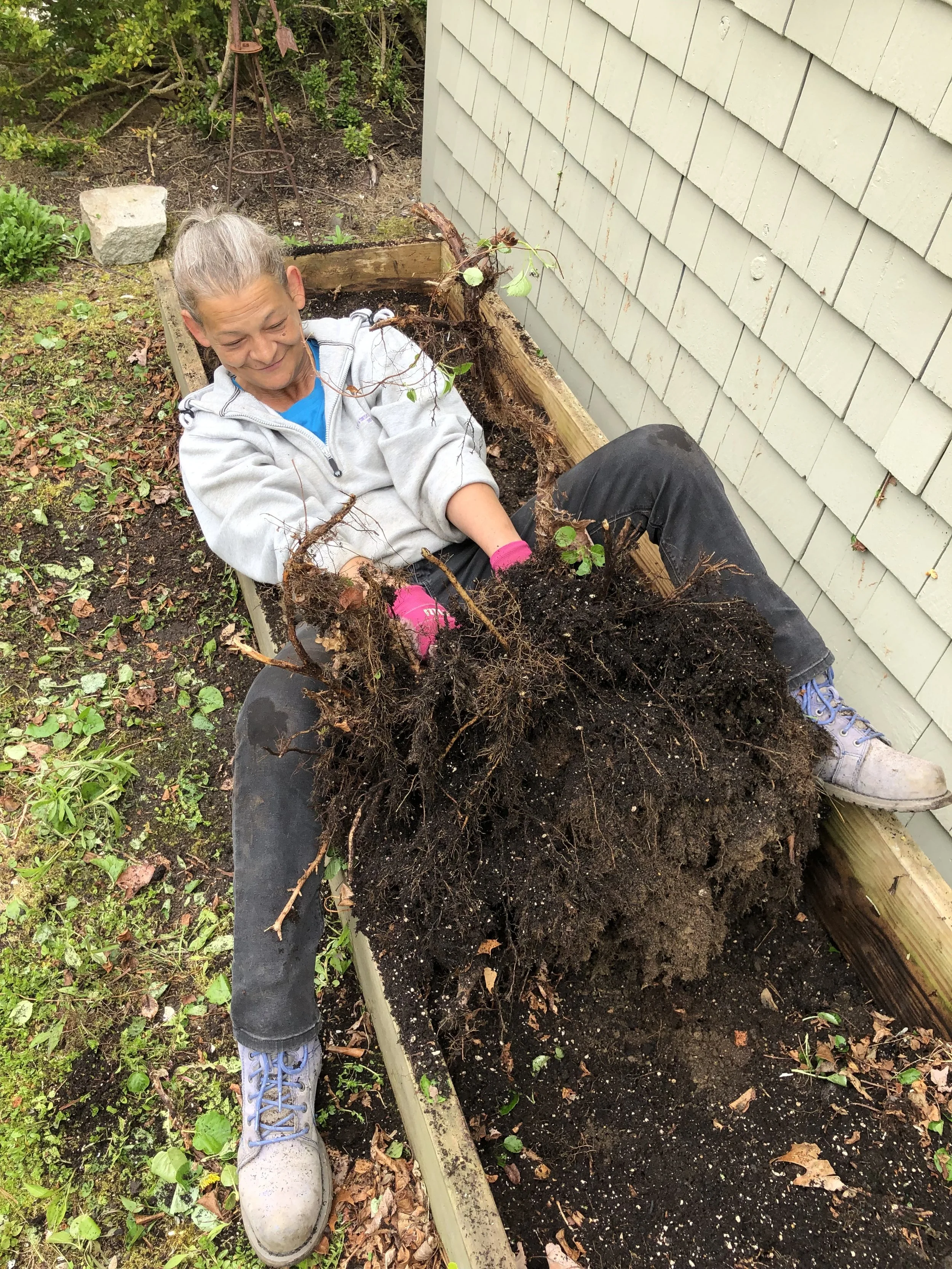 We get those root balls out!