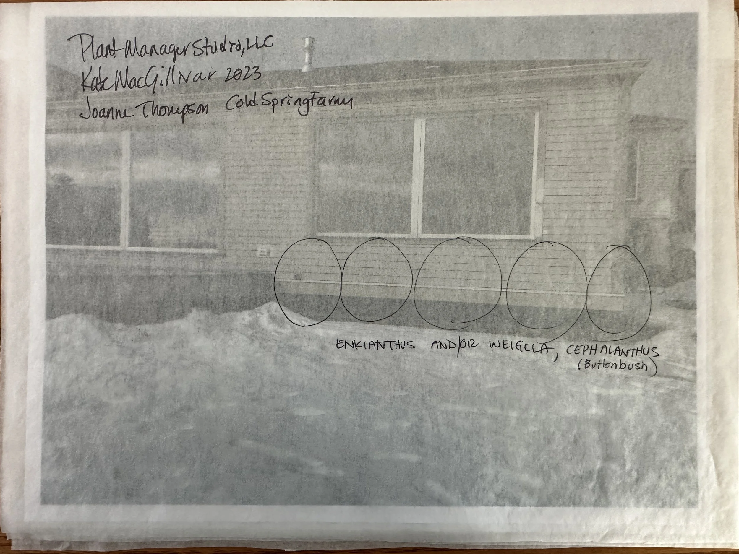 Thompson, Joanne Garden Design 3.jpeg