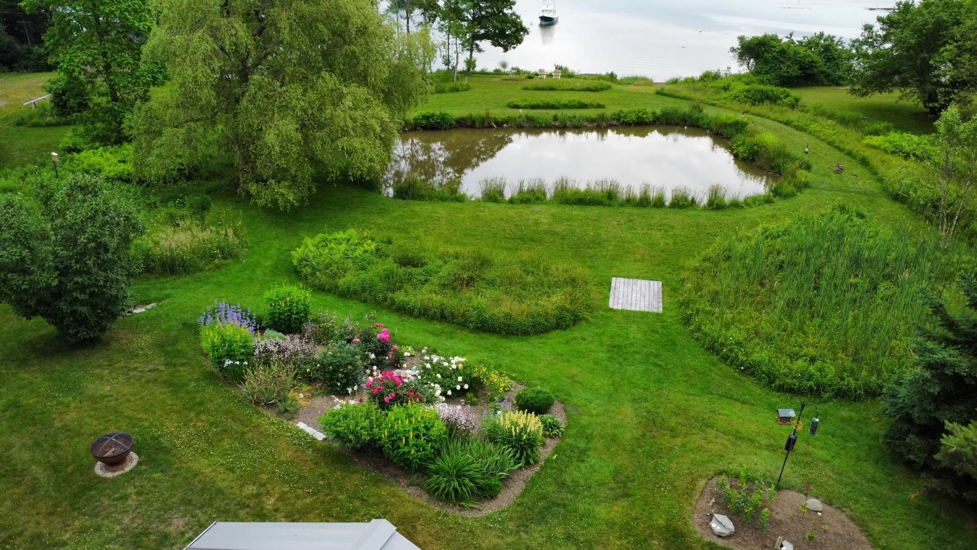 It is so wonderful to see and hear how the garden is blooming profusely at this Harpswell client site. The client has taken on the challenge of piloting a drone to take photos and this is her first try at it, I think she is doing great!