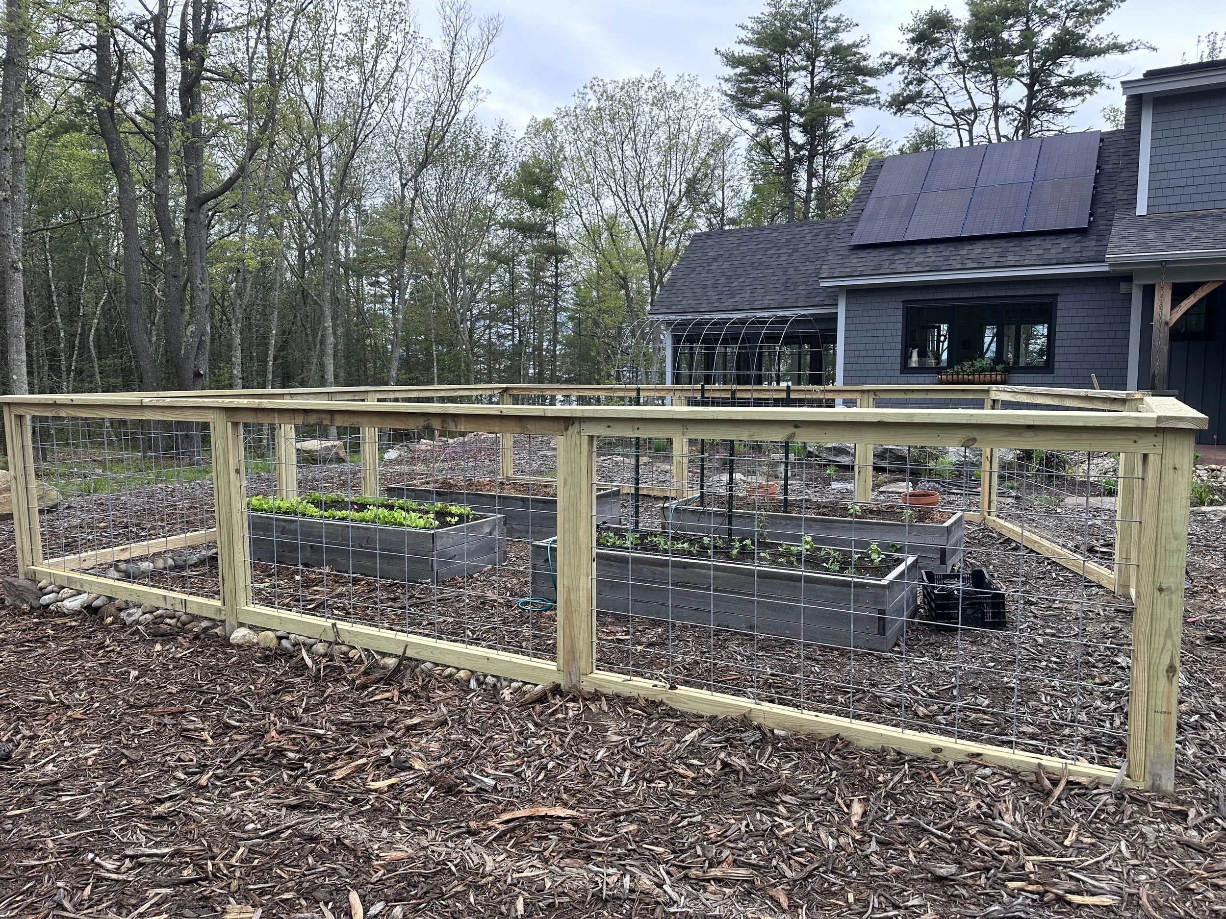 We built a really nice fence to keep out the critters!