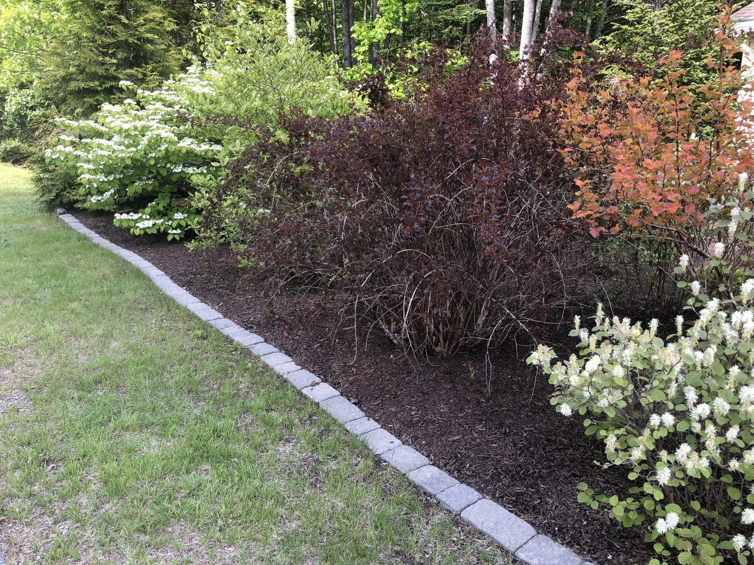 Topsham new installation doing very well with Sam's stone edging