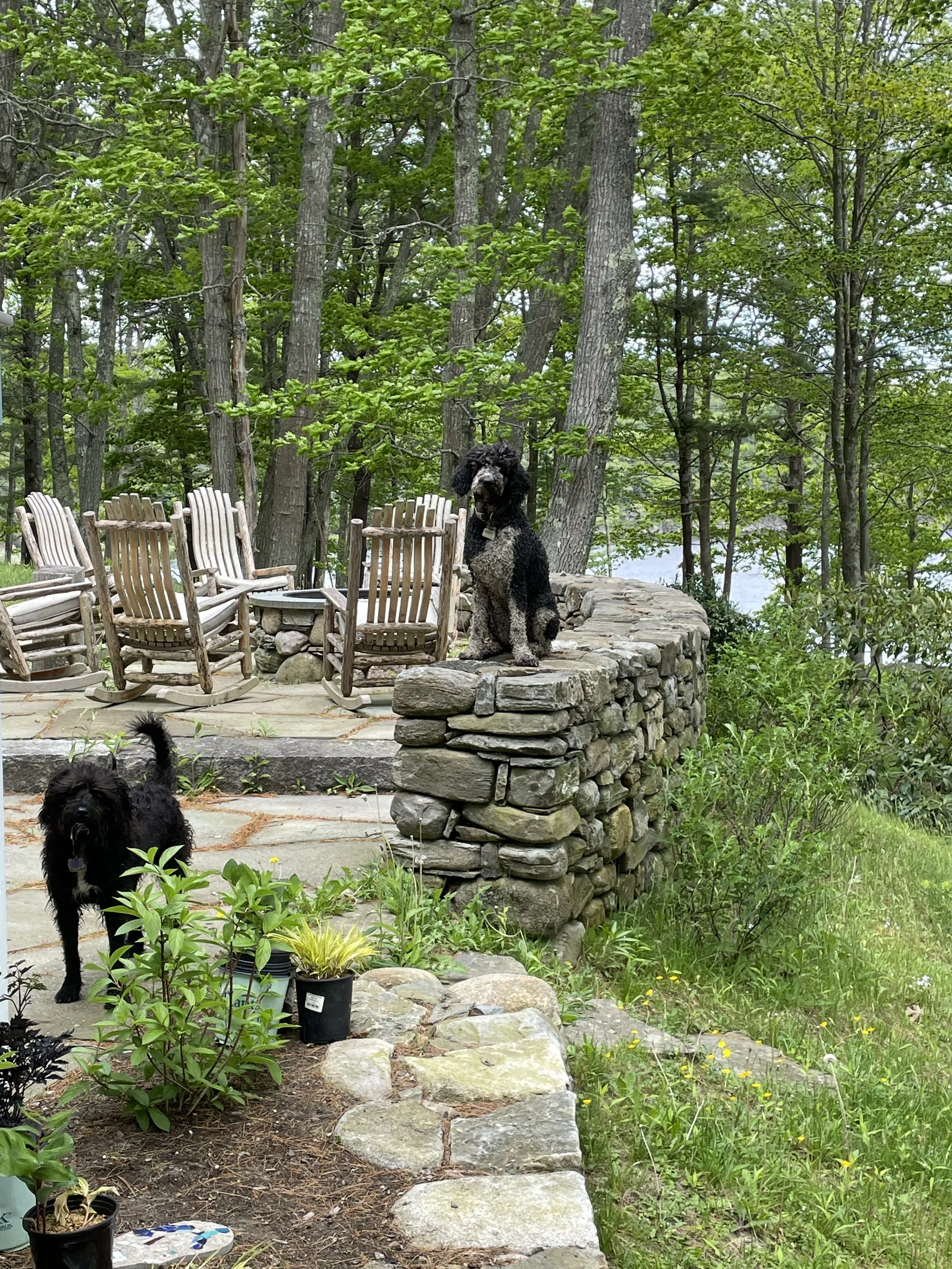 Áine and Orkney supervising