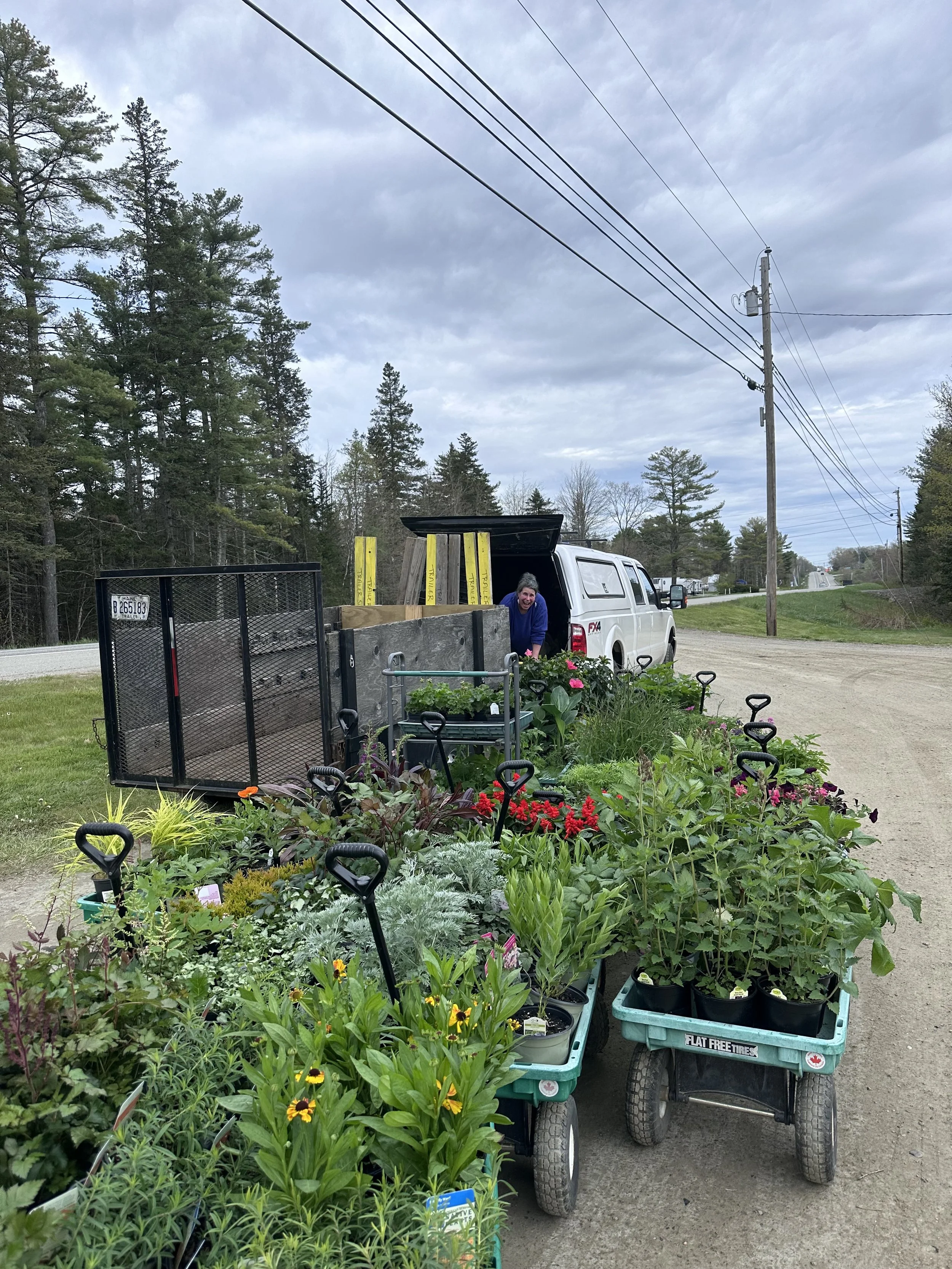 We are so freaking good at plant shopping and transporting!