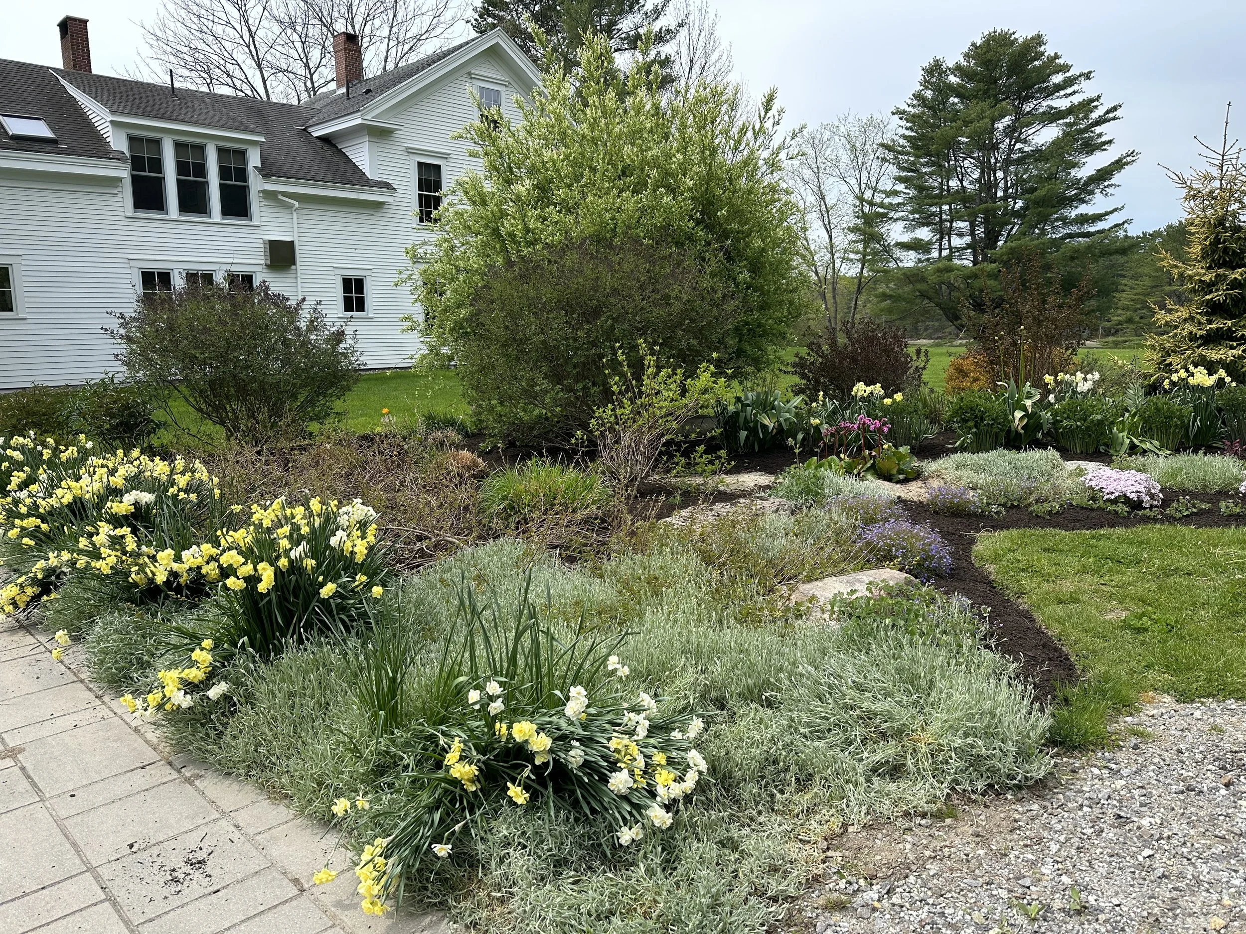 Mill Island Installation - Early Spring