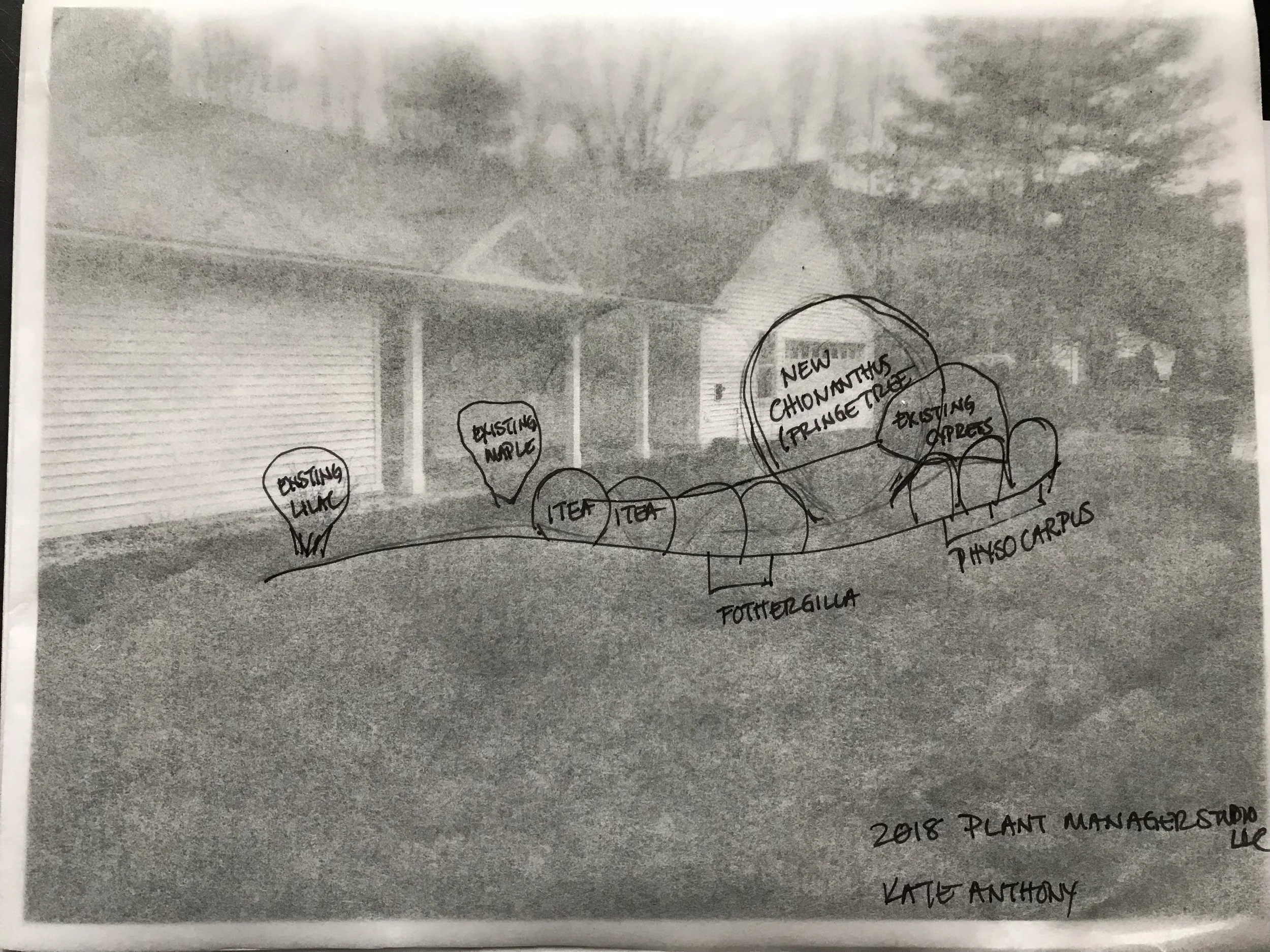 KATE ANTHONY FRONT DESIGN 2018.JPG