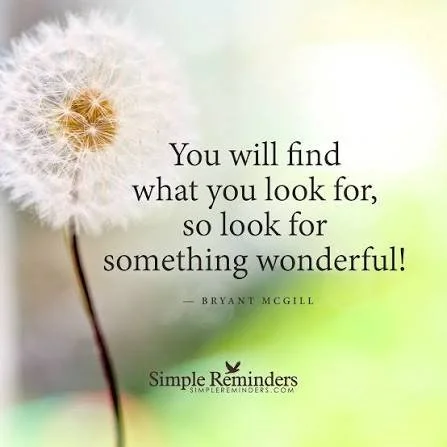Seek