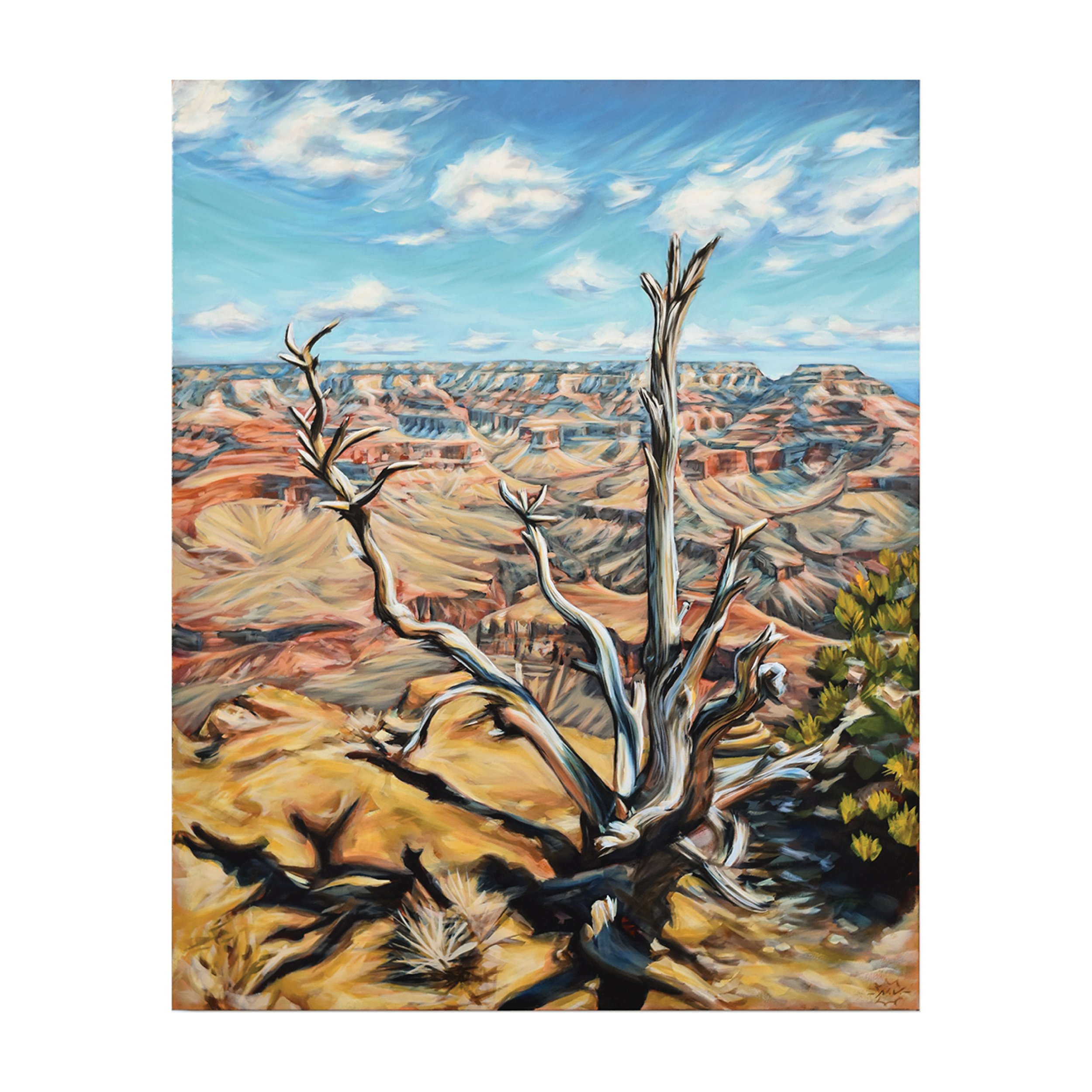 Web portfolio images4.jpg