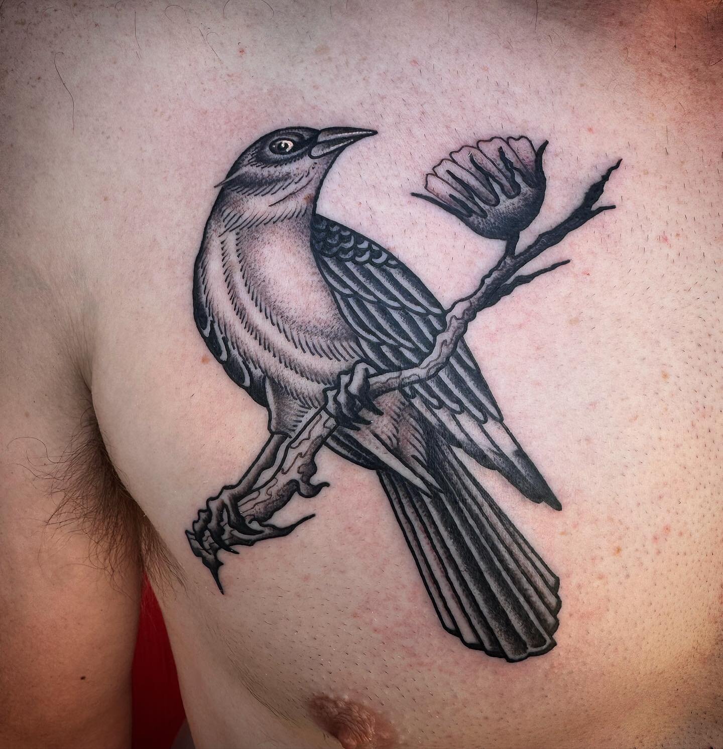 I love tattooing birds and or animals of any kind really. Email me at jtbtattoo to set up your next appointment. Thanks for looking!