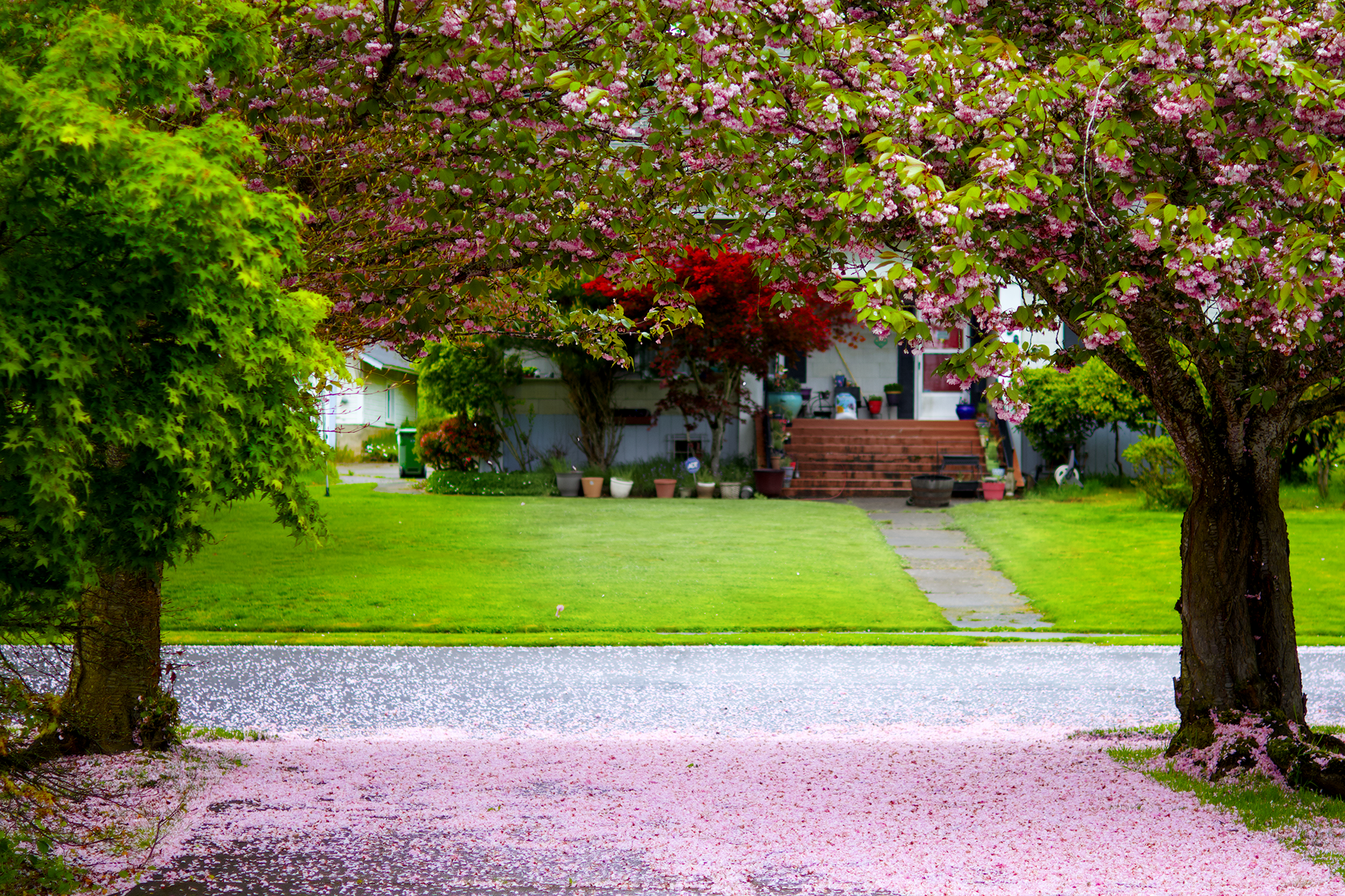 pinkdriveway.png