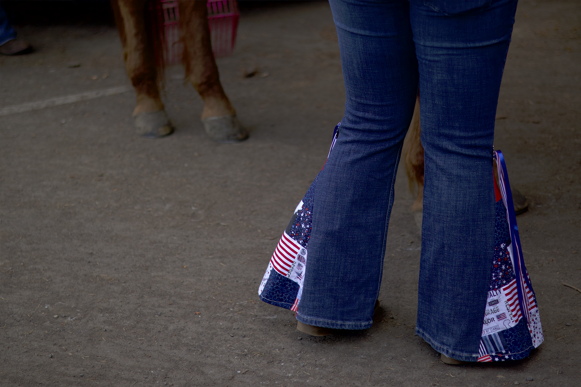 horselegs.png