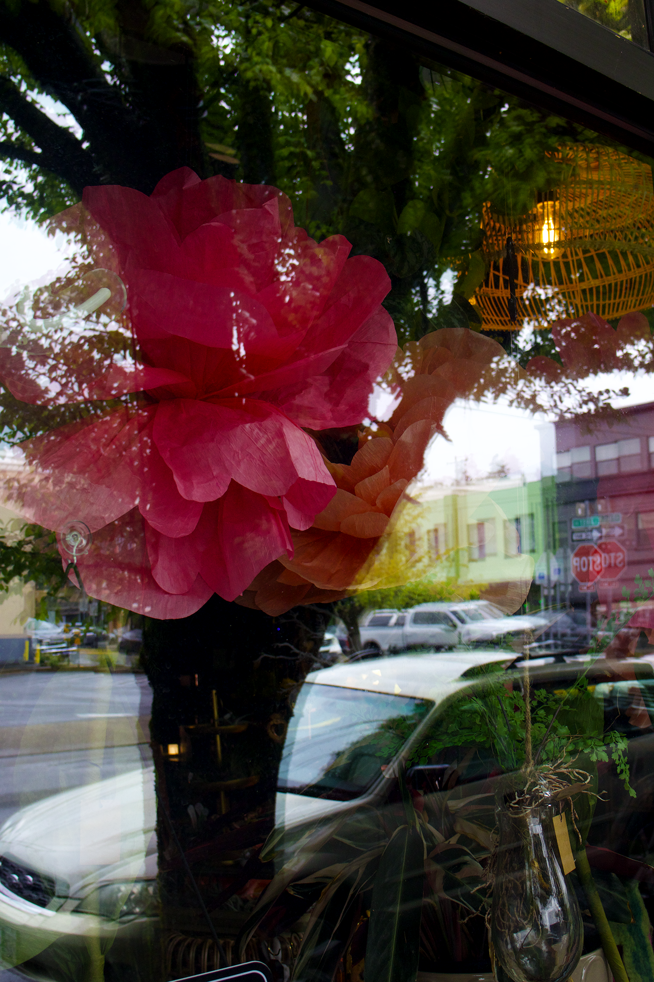bigpinkreflection.png