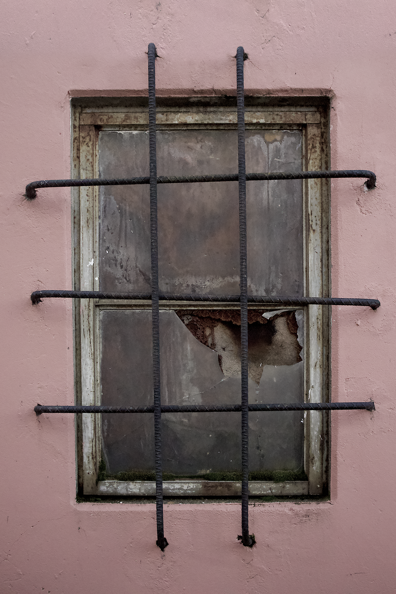 PinkWindow.png