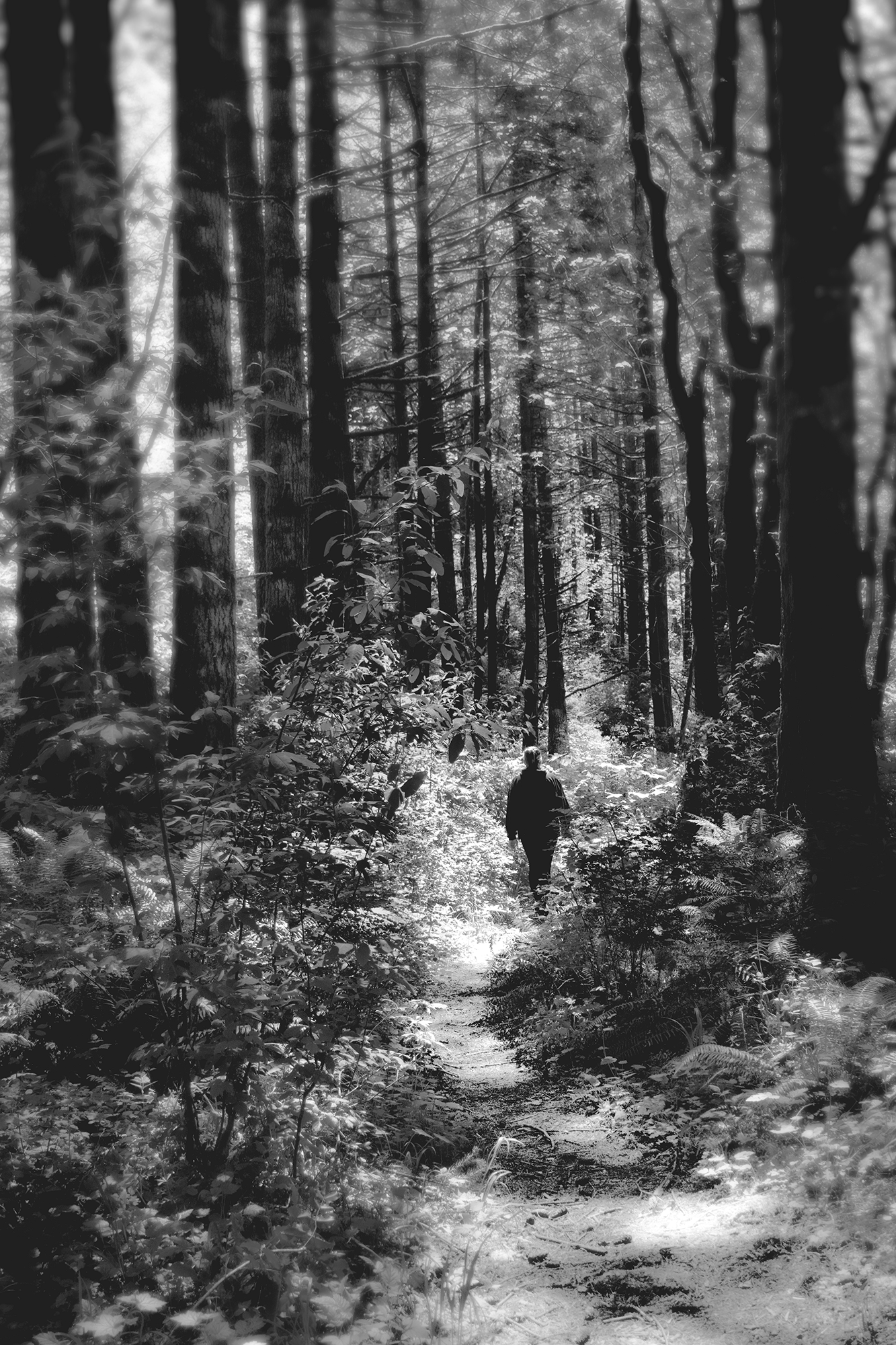 sarahhiking.png