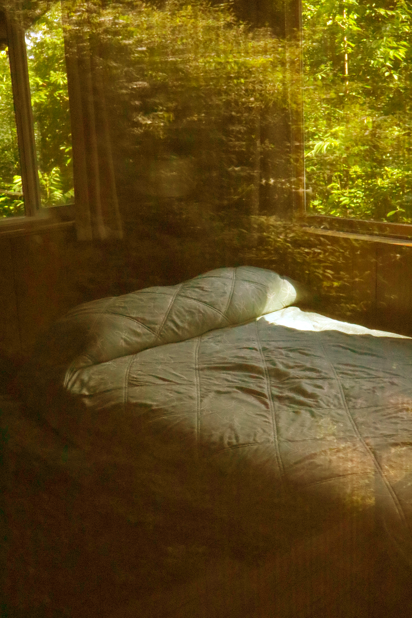 CabinBed.png