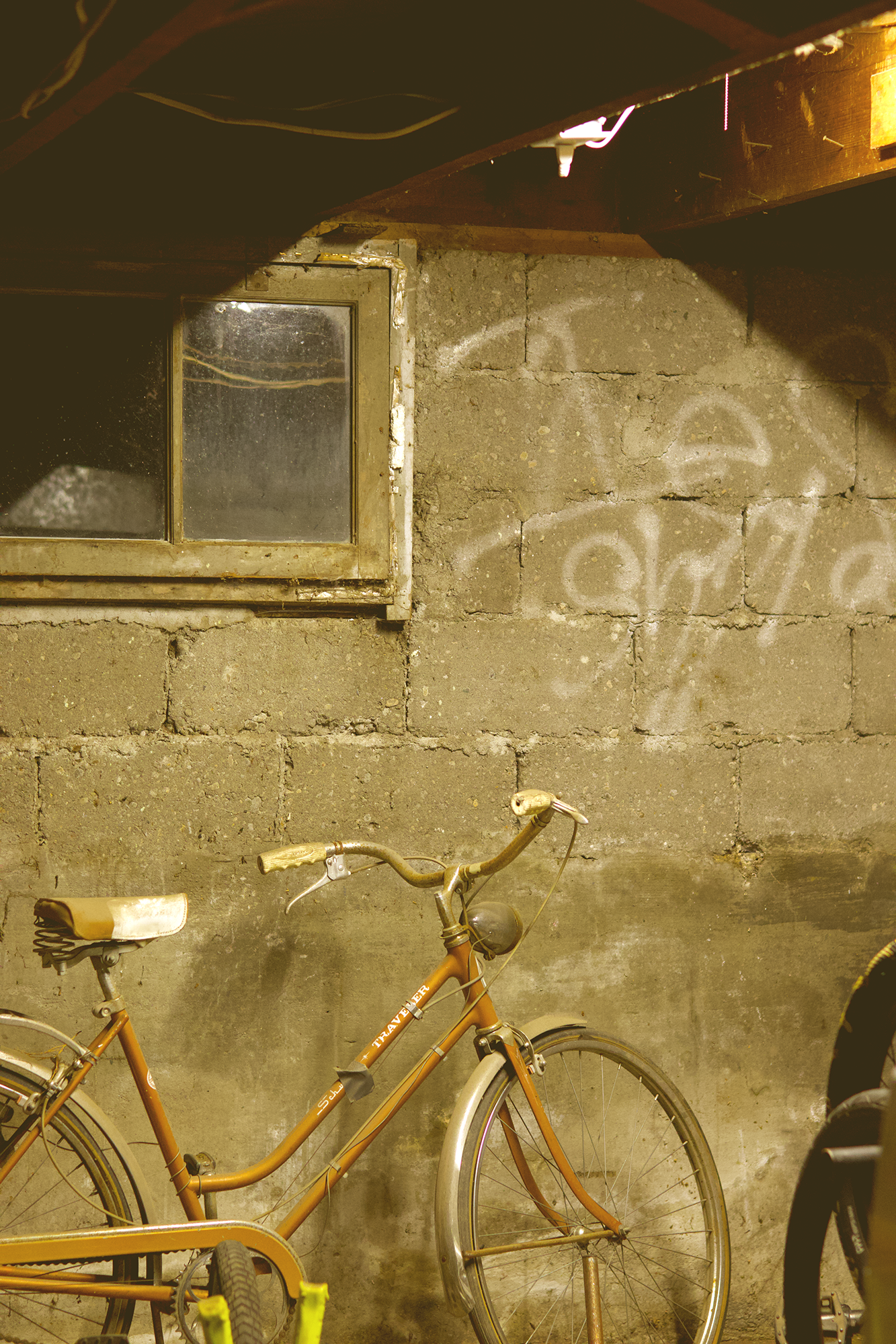 bike.png