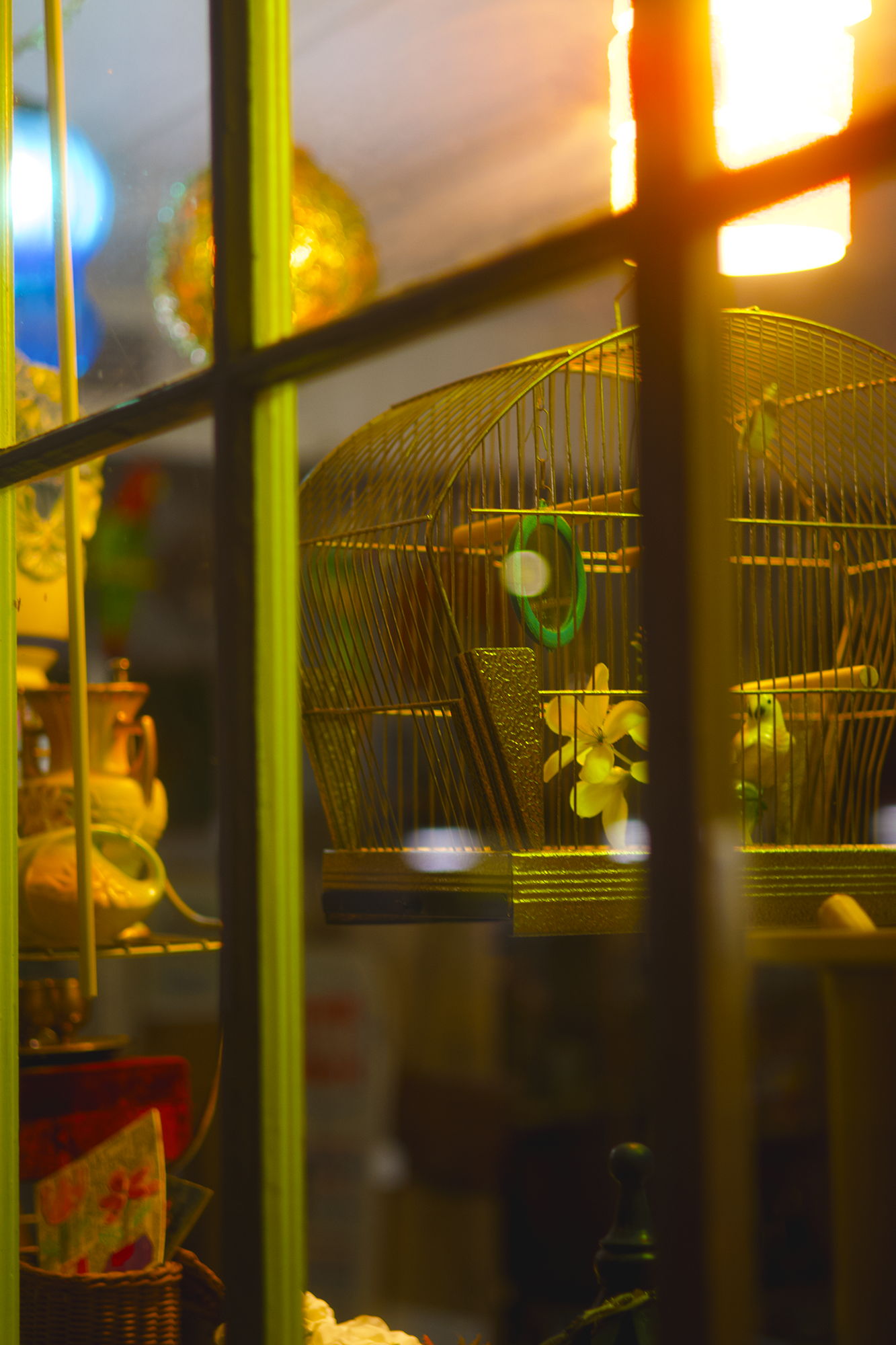 Birdcage.png