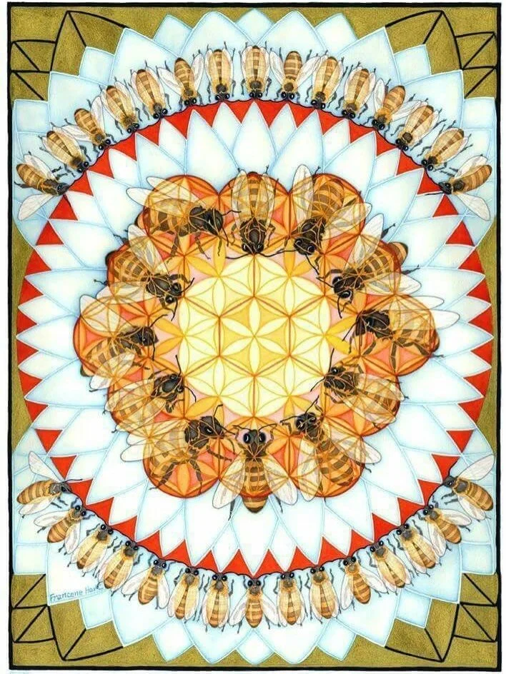 tethered to our own star 🌟 the beginnings of my beekeeping journey 🐝

Last weekend was the first gathering of @beekeepinginskirts&rsquo;s 10-month natural beekeeping apprenticeship for women. I&rsquo;m incredibly grateful to be learning from Ariell