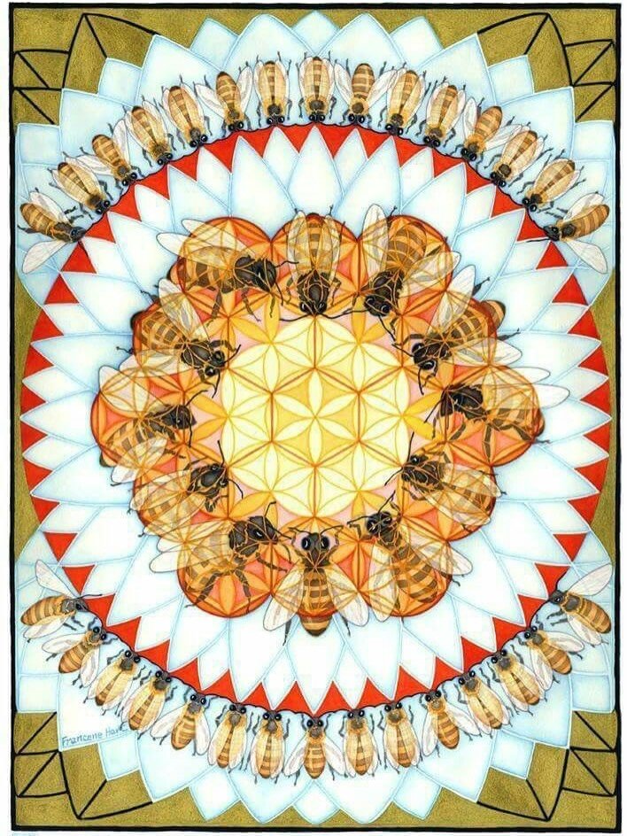 tethered to our own star 🌟 the beginnings of my beekeeping journey 🐝

Last weekend was the first gathering of @beekeepinginskirts&rsquo;s 10-month natural beekeeping apprenticeship for women. I&rsquo;m incredibly grateful to be learning from Ariell
