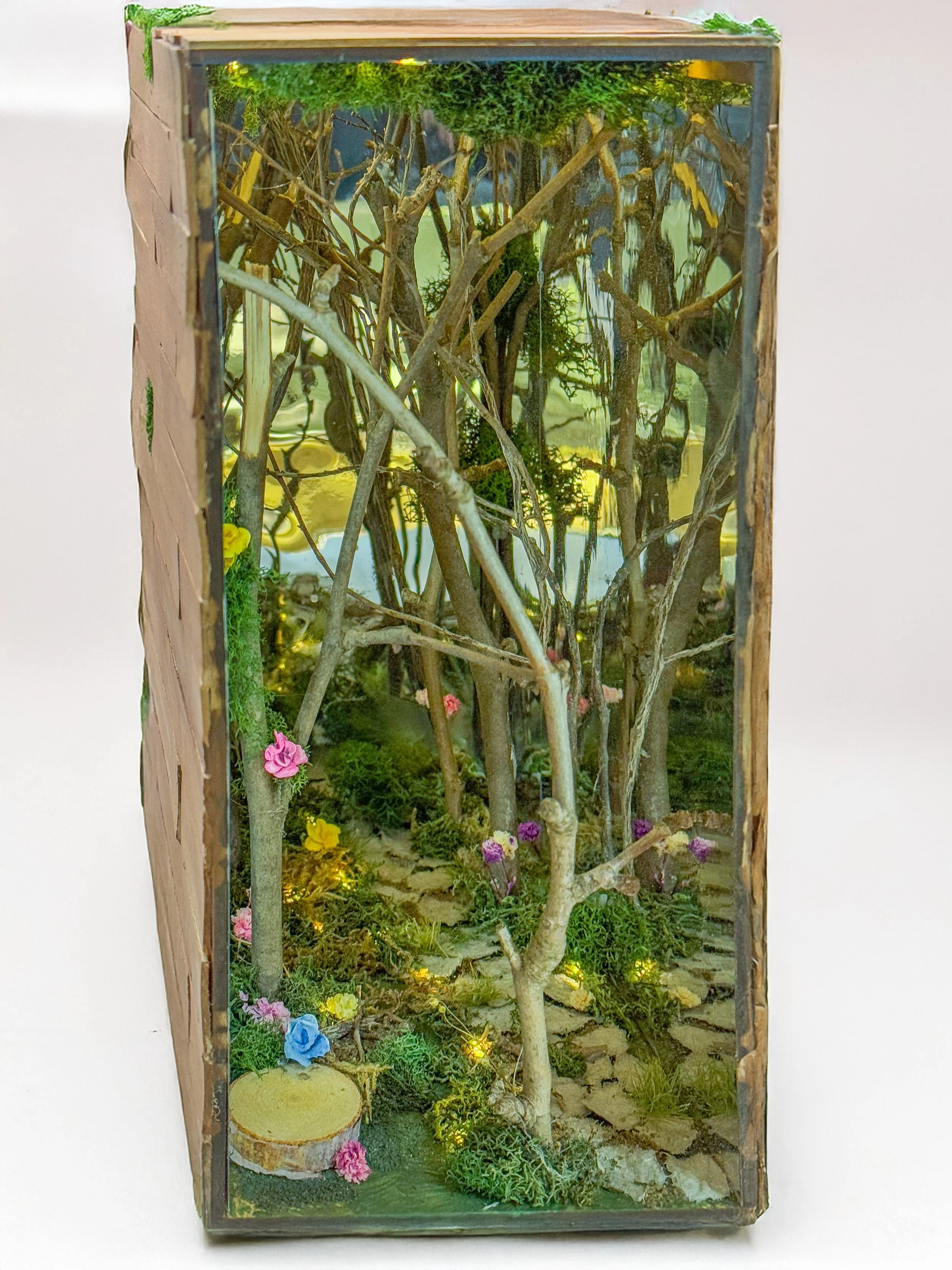 Enchanted Forest Book Nook Class