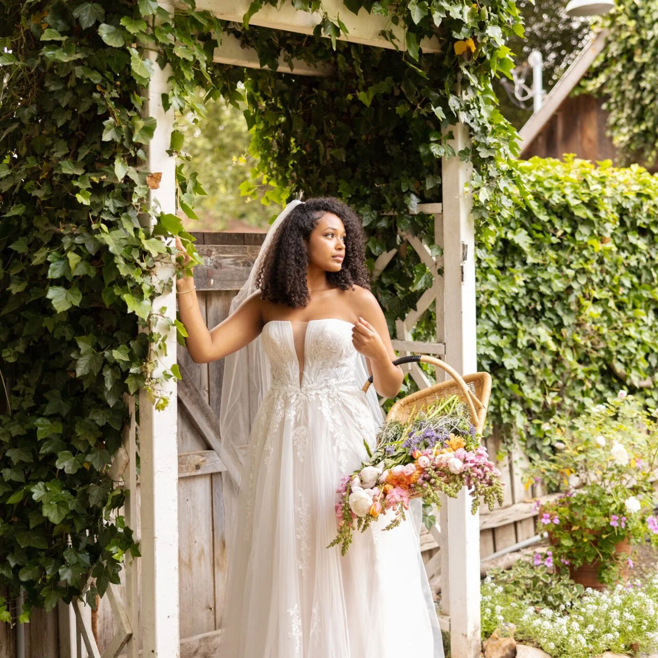 Stella York Trunk Show