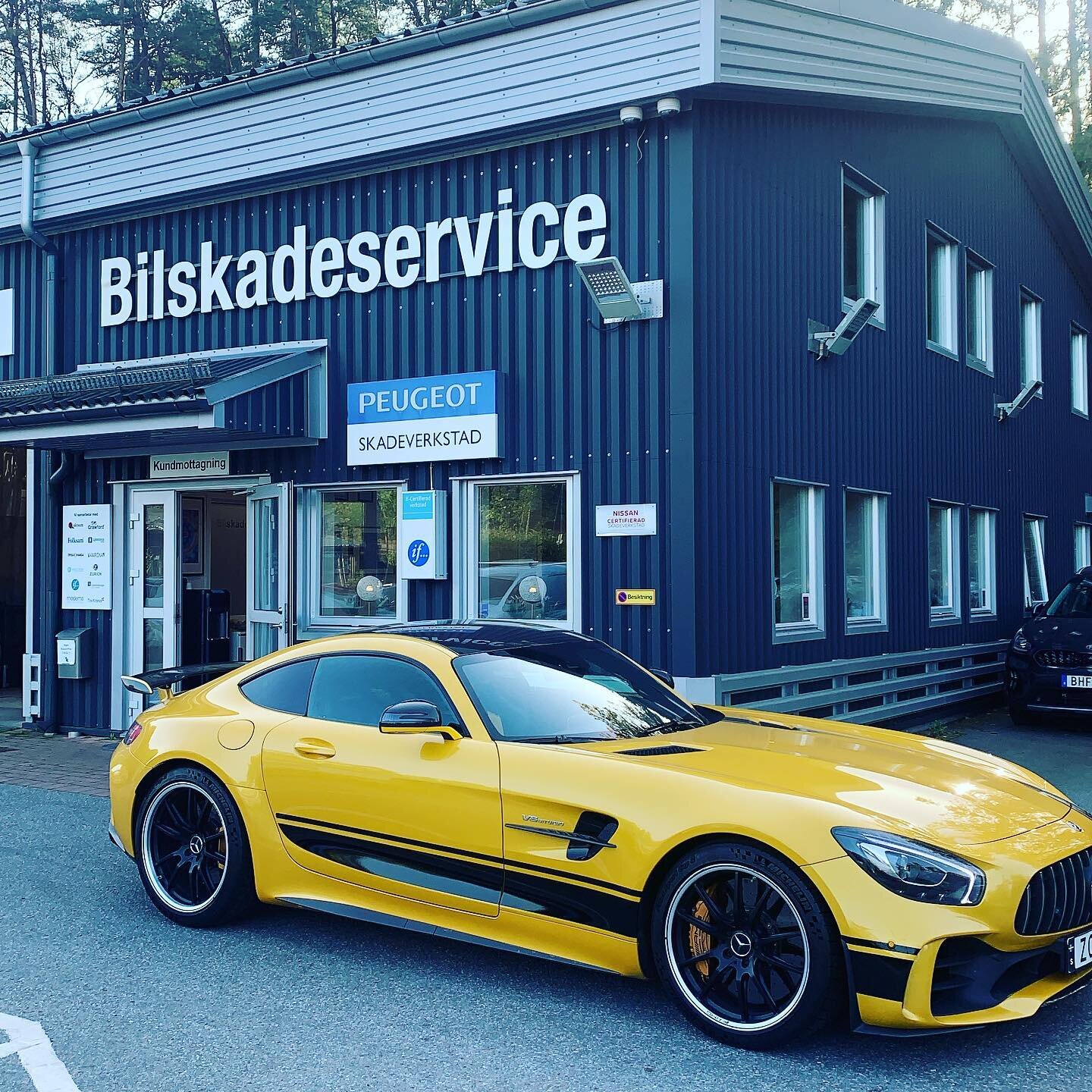 AMG Gt R 🐝🐝