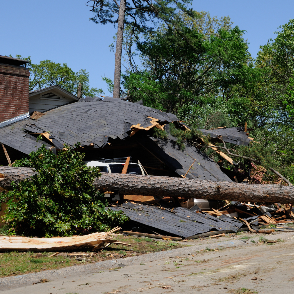 The Disaster Displacement Checklist: What to Do in the First 48 Hours