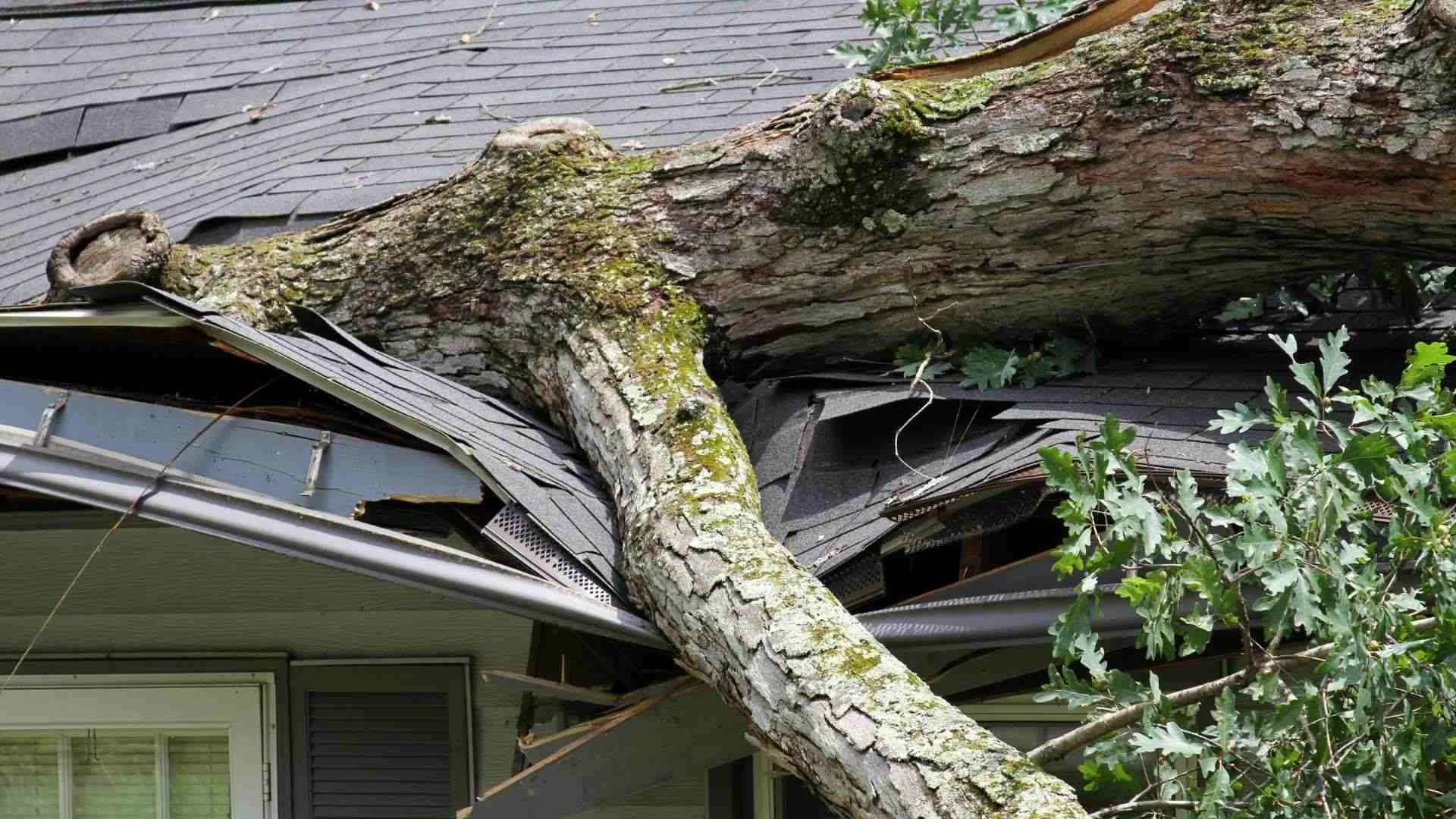 Property Damage Recovery: How to Use ALE Insurance for Temporary Furniture Rental