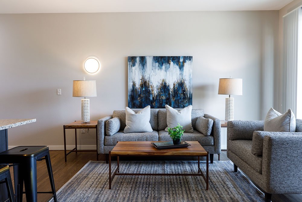 Viciniti-Apartment-Interior-Photos48_.jpg