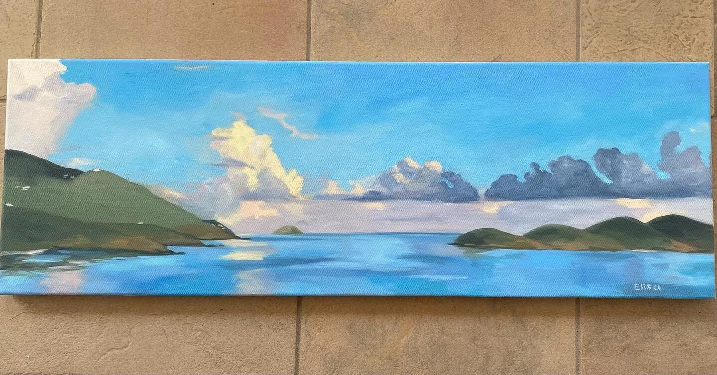 We&rsquo;ve had such perfect summer weather lately. 💙 #islandlife #hullbay #stthomasusvi #seascapepainting #oilpainting #artistsofinstagram