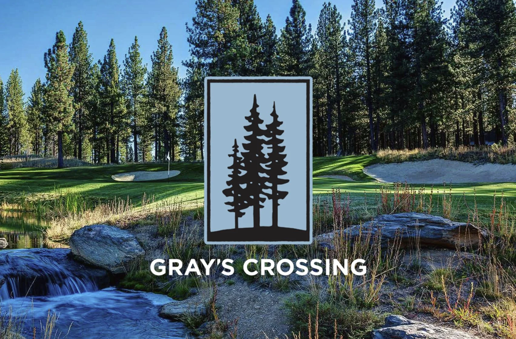 grayscrossing_1.jpg