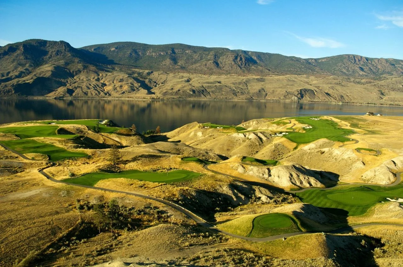 tobiano_golf2.jpg