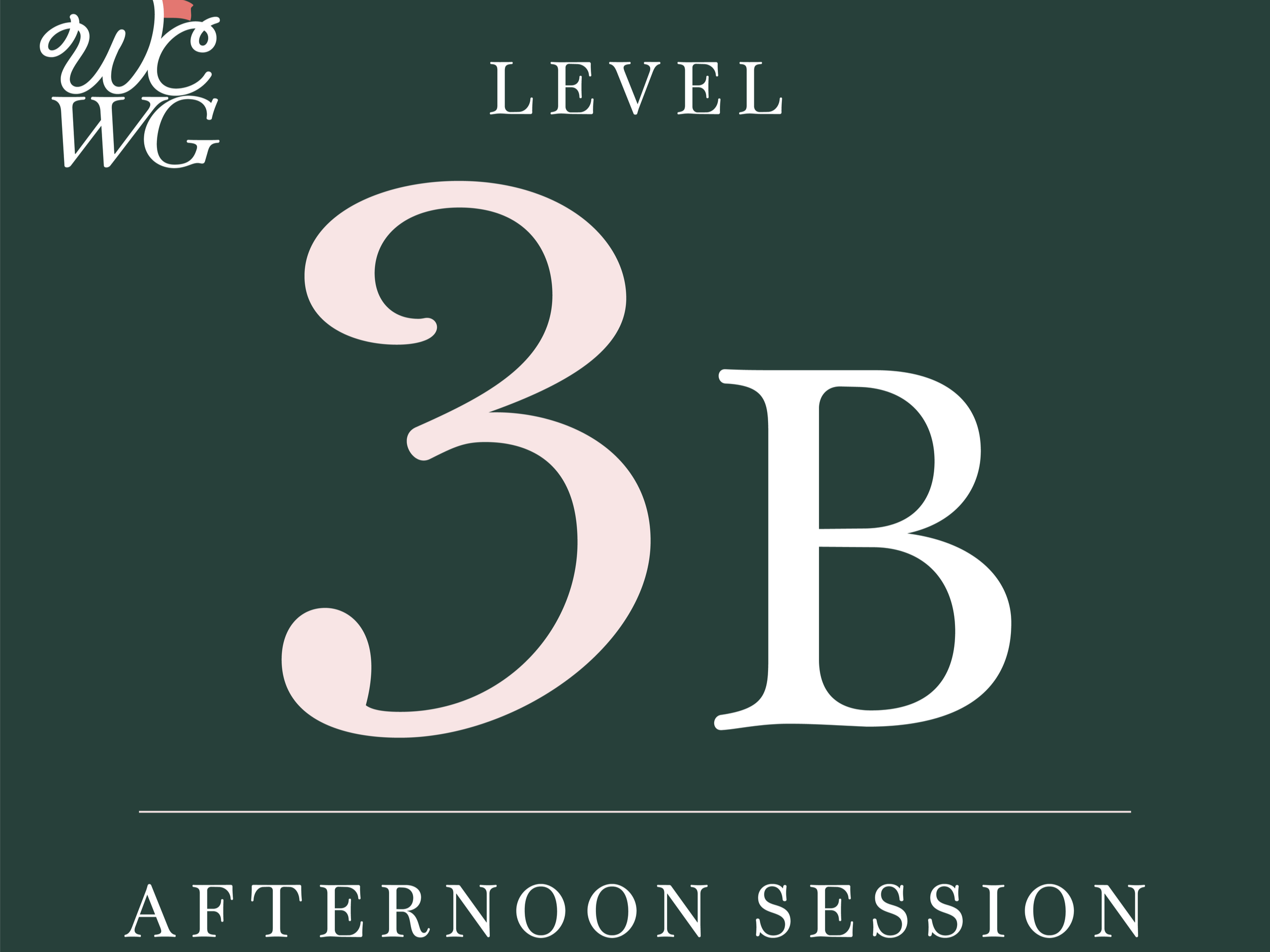 3B.png