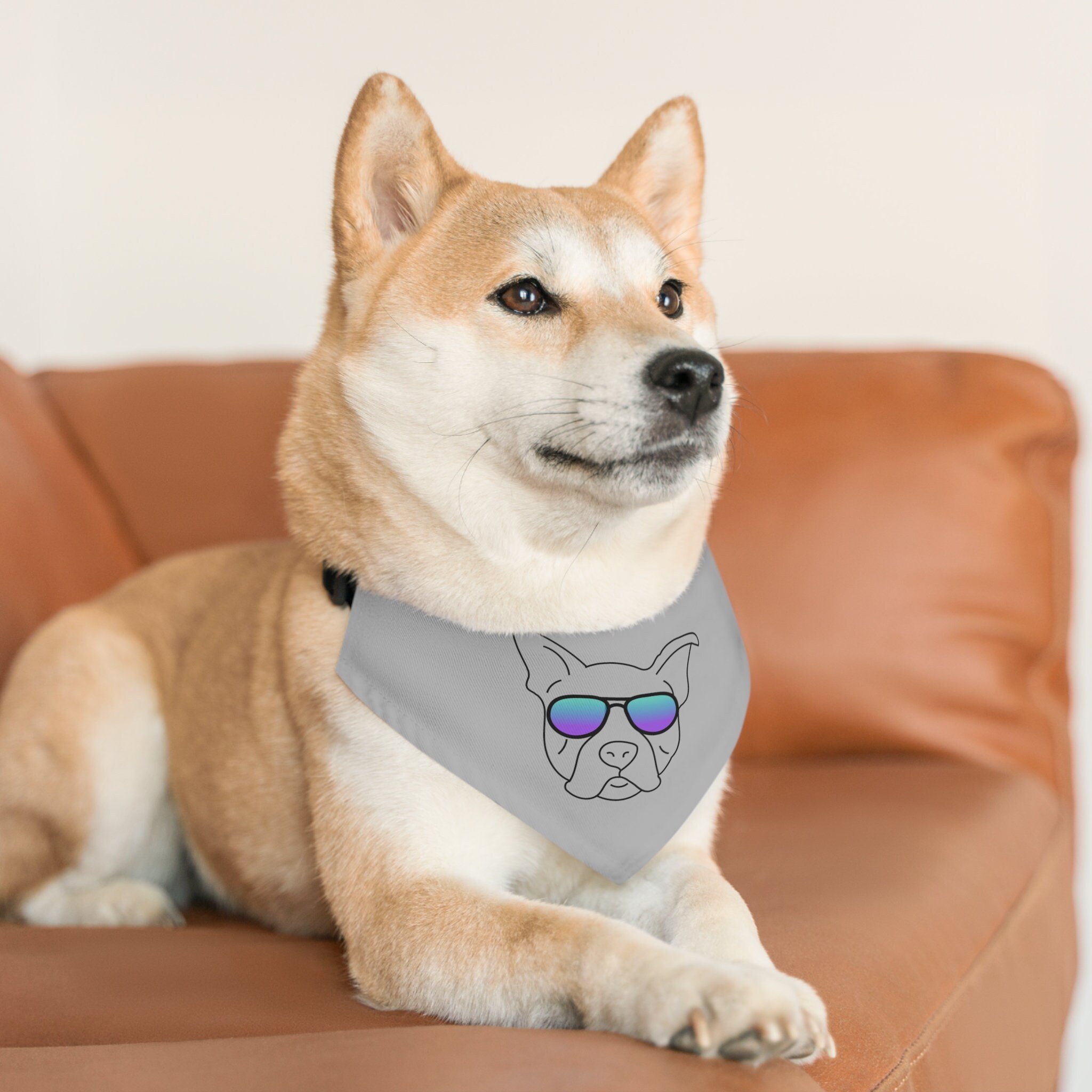 https://i.etsystatic.com/43556519/r/il/a37de0/5007412965/il_fullxfull.5007412965_py8y.jpg