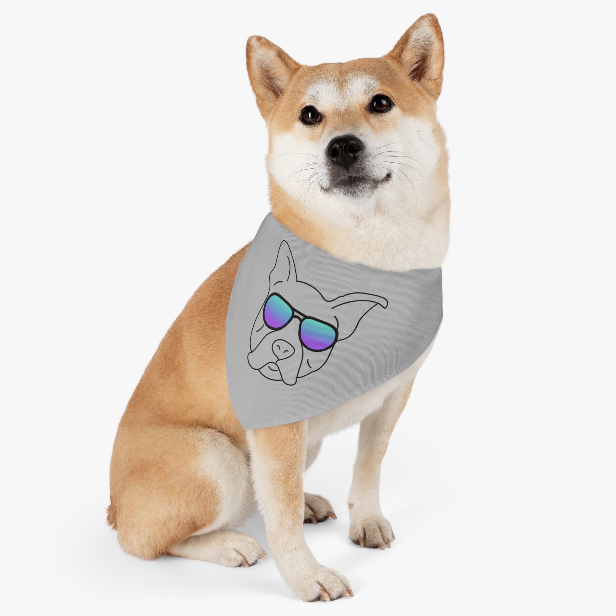 https://i.etsystatic.com/43556519/r/il/62f9ce/4959154856/il_fullxfull.4959154856_pyk6.jpg