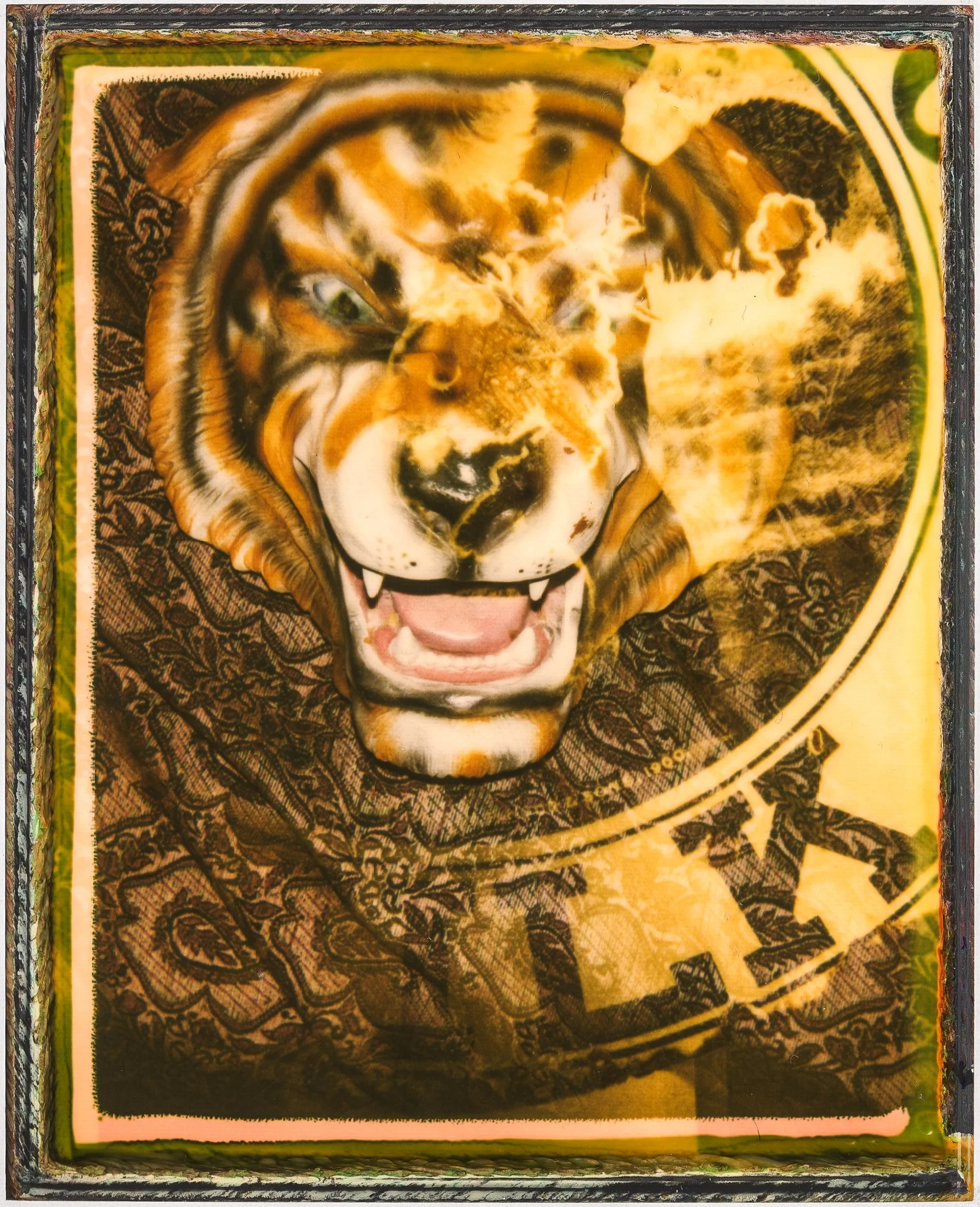 tiger milk.jpg