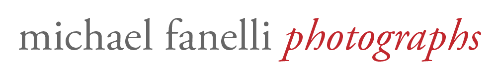 Michael Fanelli
