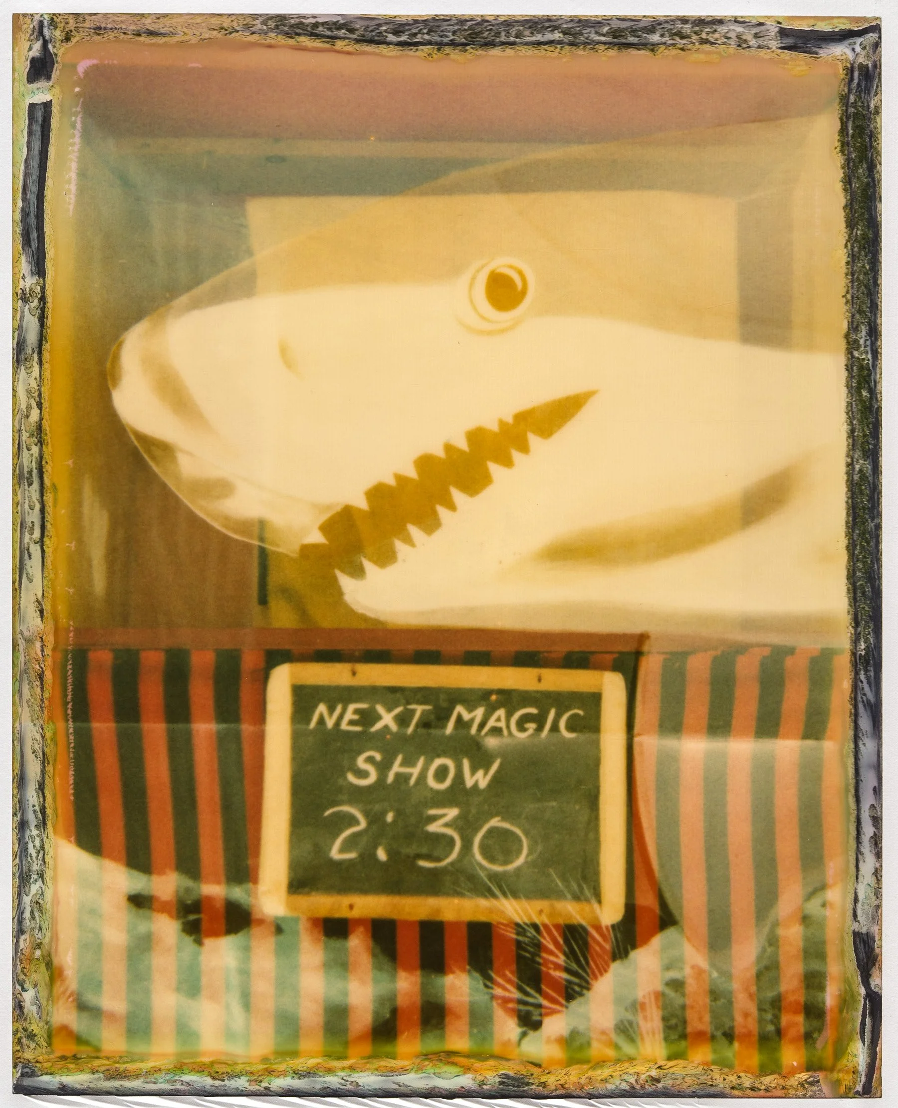 shark show.jpg