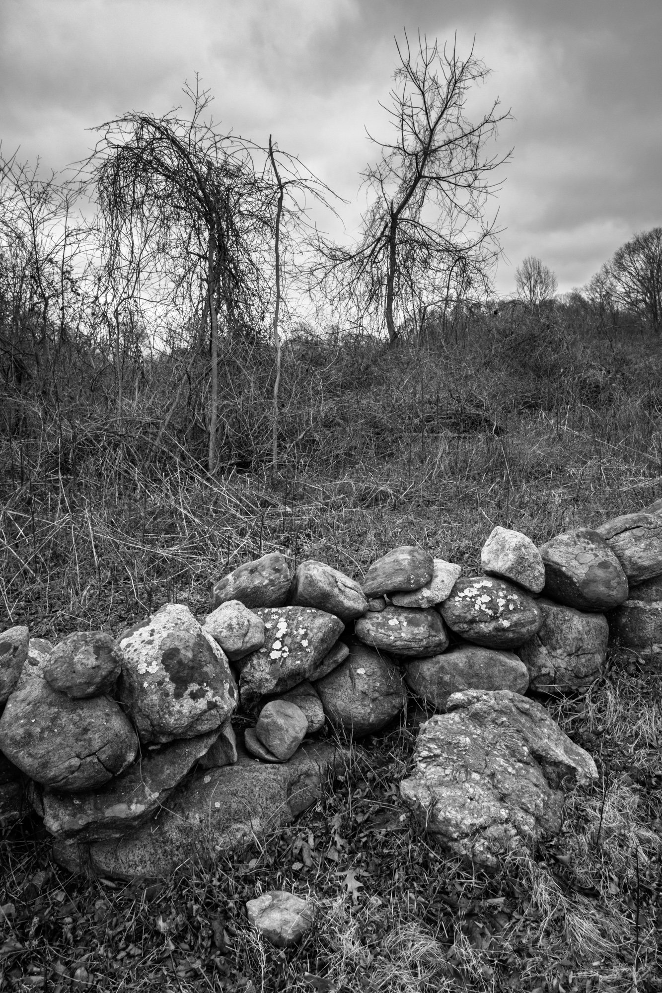 Containing Wall