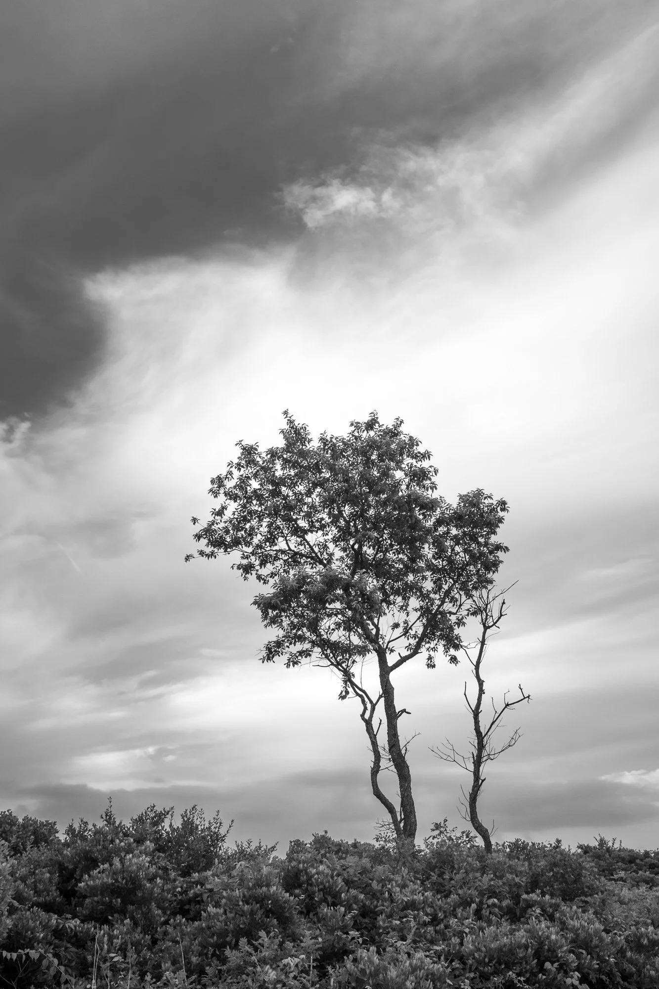Moraine, pigment print, 11x14 frame, $250